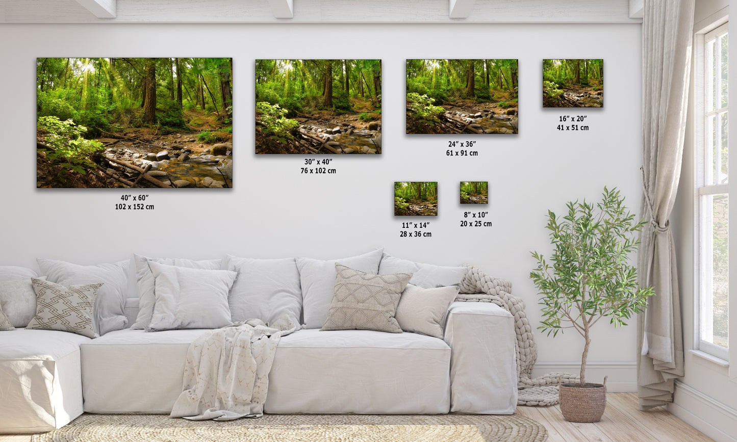 Redwood Trees Forest Picture Nature Photo, Forest Bathing in Santa Cruz California Coast Wall Art, Relaxing Artwork for House Decor & Office