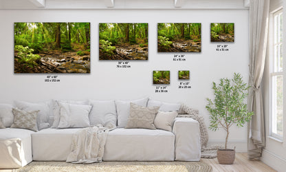 Redwood Trees Forest Picture Nature Photo, Forest Bathing in Santa Cruz California Coast Wall Art, Relaxing Artwork for House Decor & Office