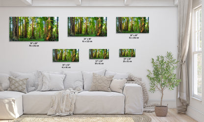 Redwood Trees Forest Picture Nature Photo, Forest Bathing Relaxation Artwork for Calming Meditation, Office and House Decor