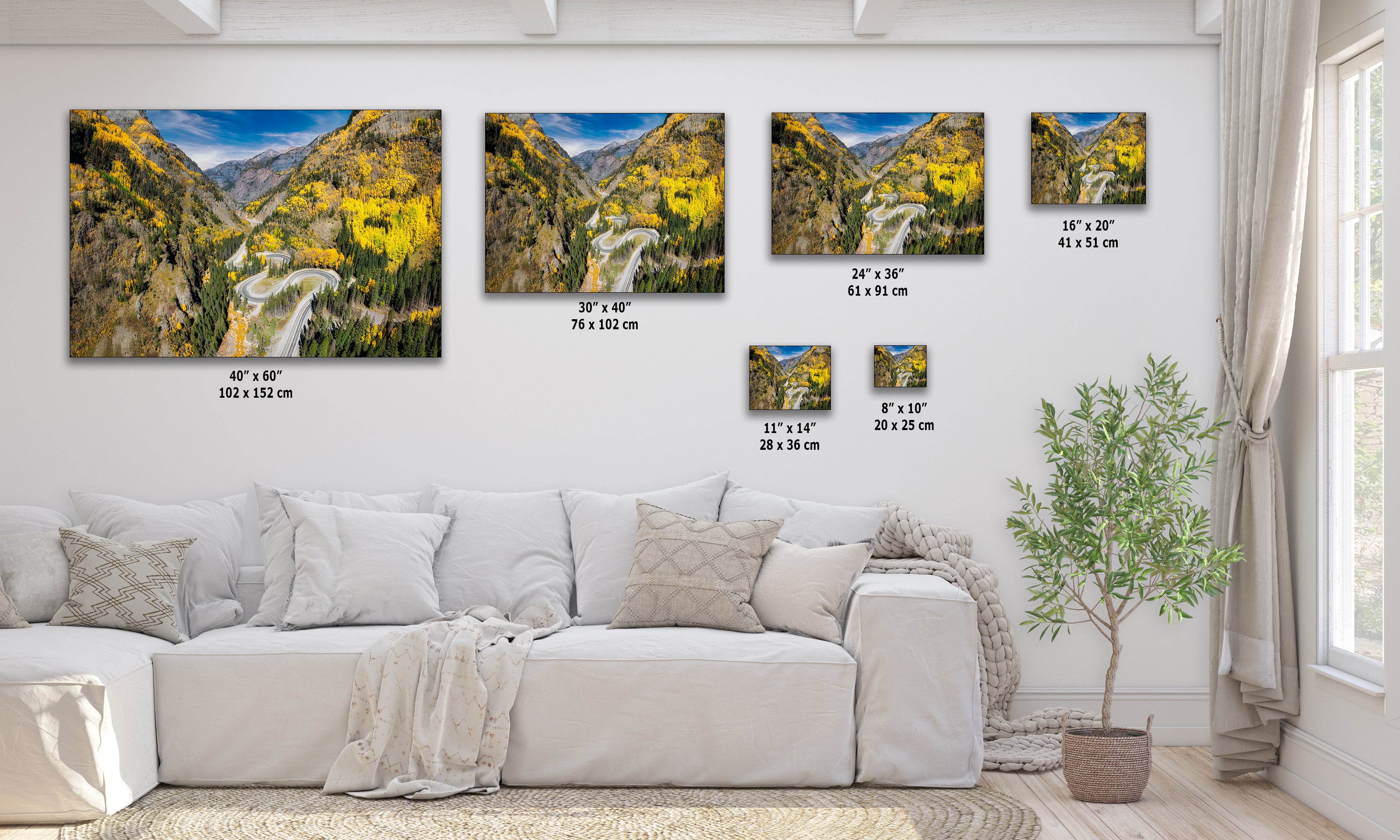 Colorado San Juan Mountain Picture, Million Dollar Highway Fall Colors Aspen Trees Forest Picture, Nature Photo for Relaxation Artwork, Meditation and House Decor