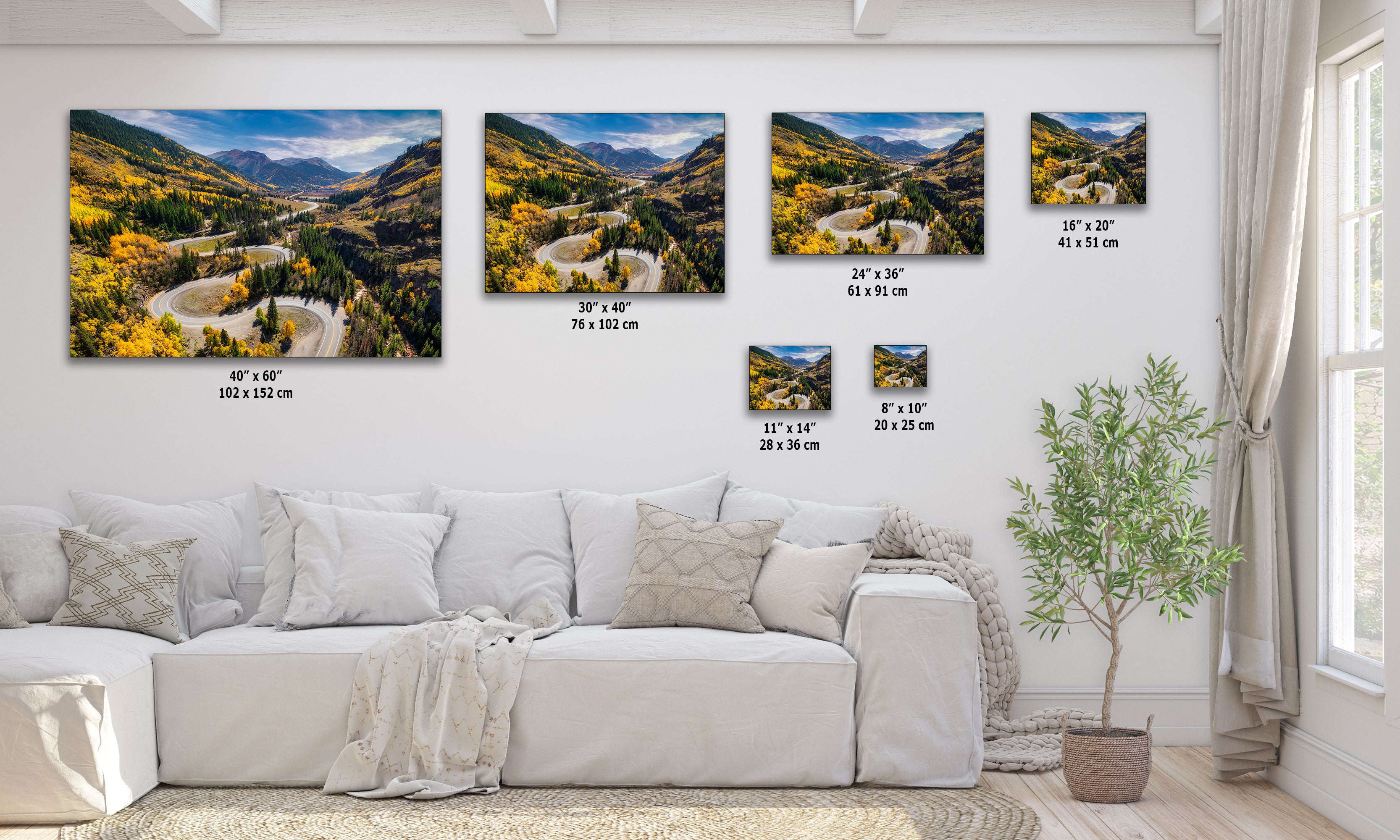 Colorado San Juan Mountain Picture, Fall Colors Aspen Trees Forest, Million Dollar Highway Nature Photo for Relaxation Artwork, Meditation and House Decor