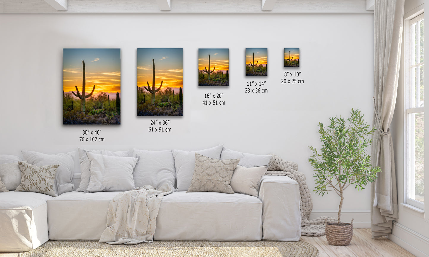 Saguaro National Park Arizona Desert Picture Nature Photo, Bohemian Style Relaxation Artwork, Southwestern Sonoran Desert House Decor