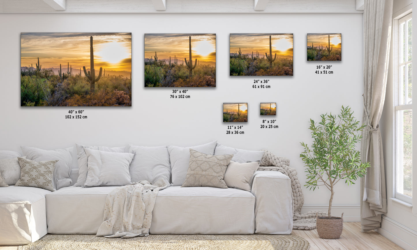 Saguaro National Park Arizona Desert Picture Sunset Nature Photo, Bohemian Style Relaxation Artwork, Southwestern Sonoran Desert House Decor