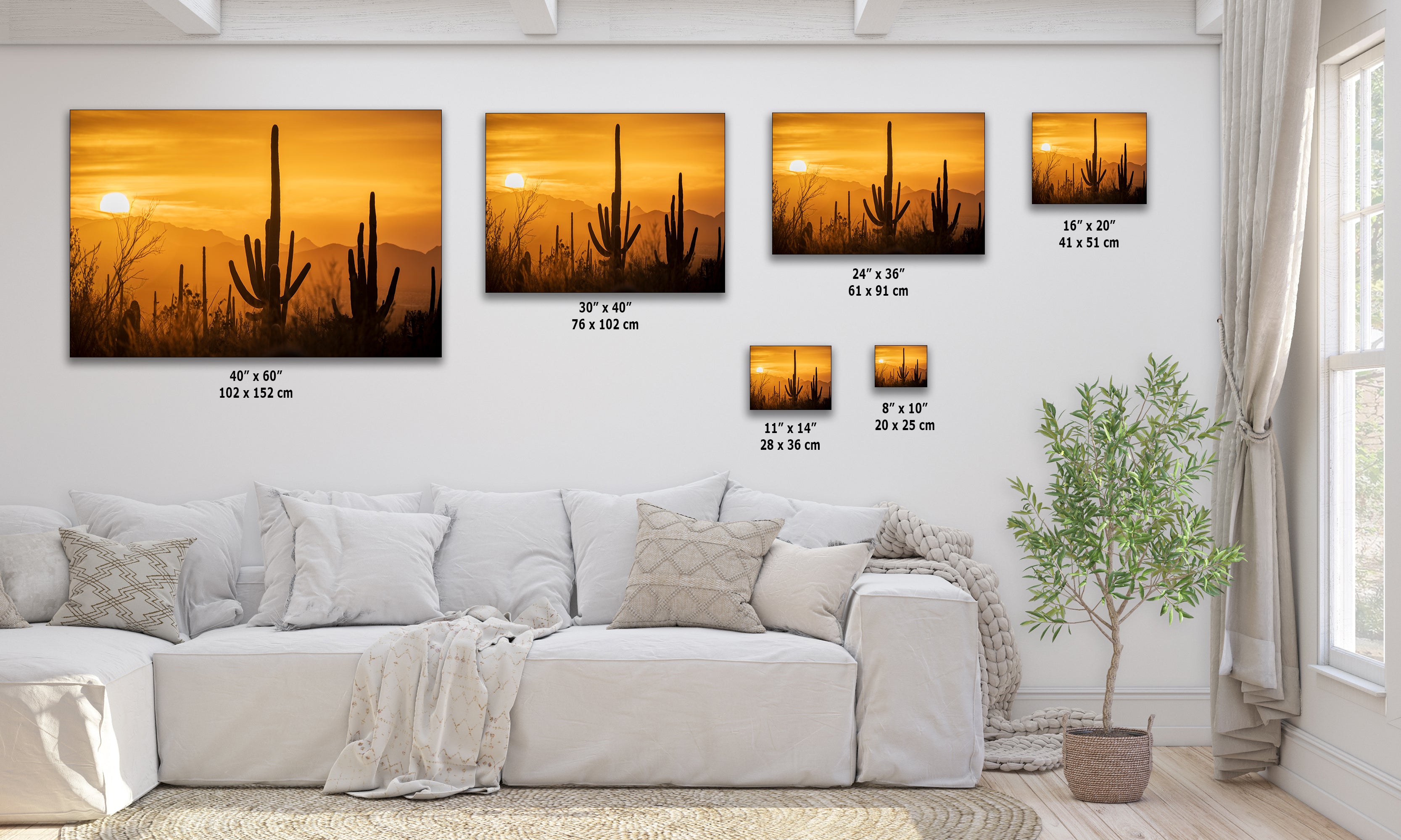 Saguaro National Park Arizona Desert Picture Nature Photo Silhouette, Bohemian Style Relaxation Artwork, Southwestern Sonoran Desert House Decor