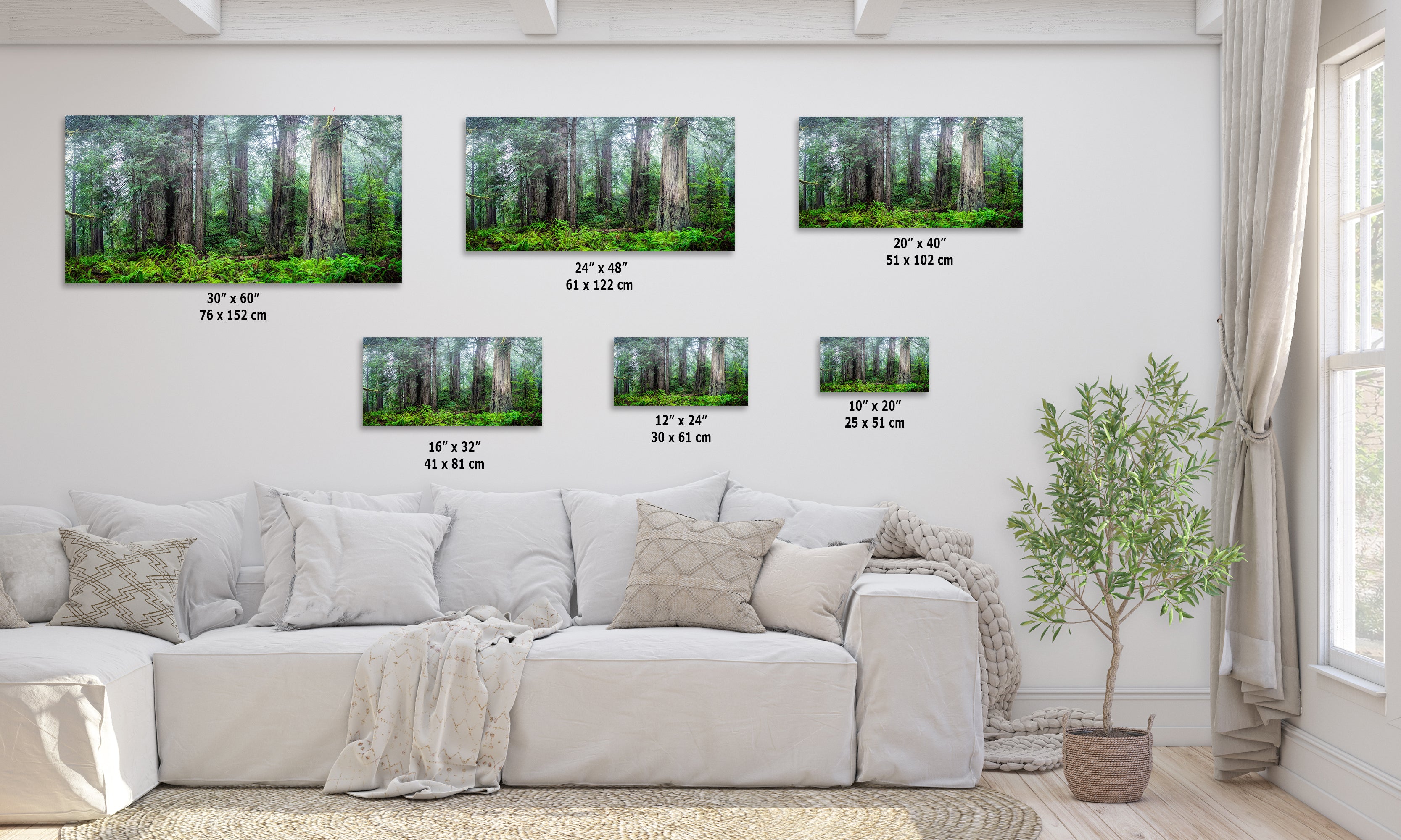 Redwood Trees Forest Picture Nature Photo, Forest Bathing in Misty California Redwoods Wall Art, for Relaxation in the Home and Office