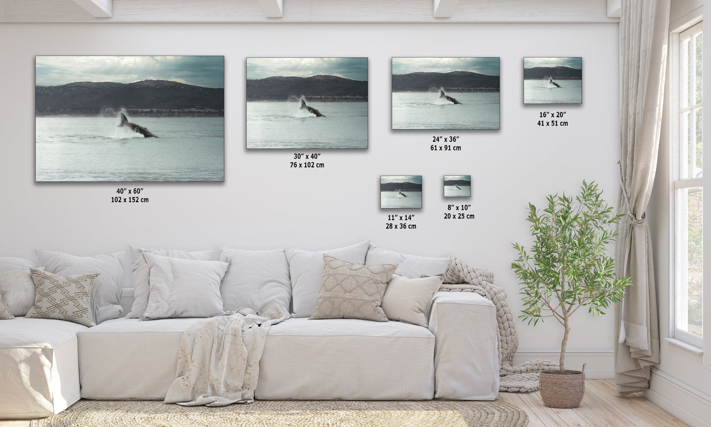 Humpback Whale Marine Mammal Wildlife Photography, Ocean Nature Art, Marine Conservation, Dolphin & Sea Life Gift, House Decor