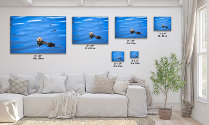 Sea Otter Picture Marine Mammal Wildlife Photography, Ocean Wall Art, Dorm Room Decor, Relaxation Artwork, Cubicle Desk Decor