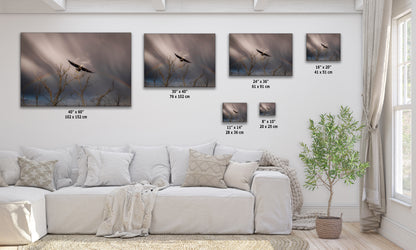 Soaring Bald Eagle Picture Wildlife Photography Wall Art, Nature Photo, Bird Photography, Rustic Cabin Decor, Office or Dorm Room Wall Decor