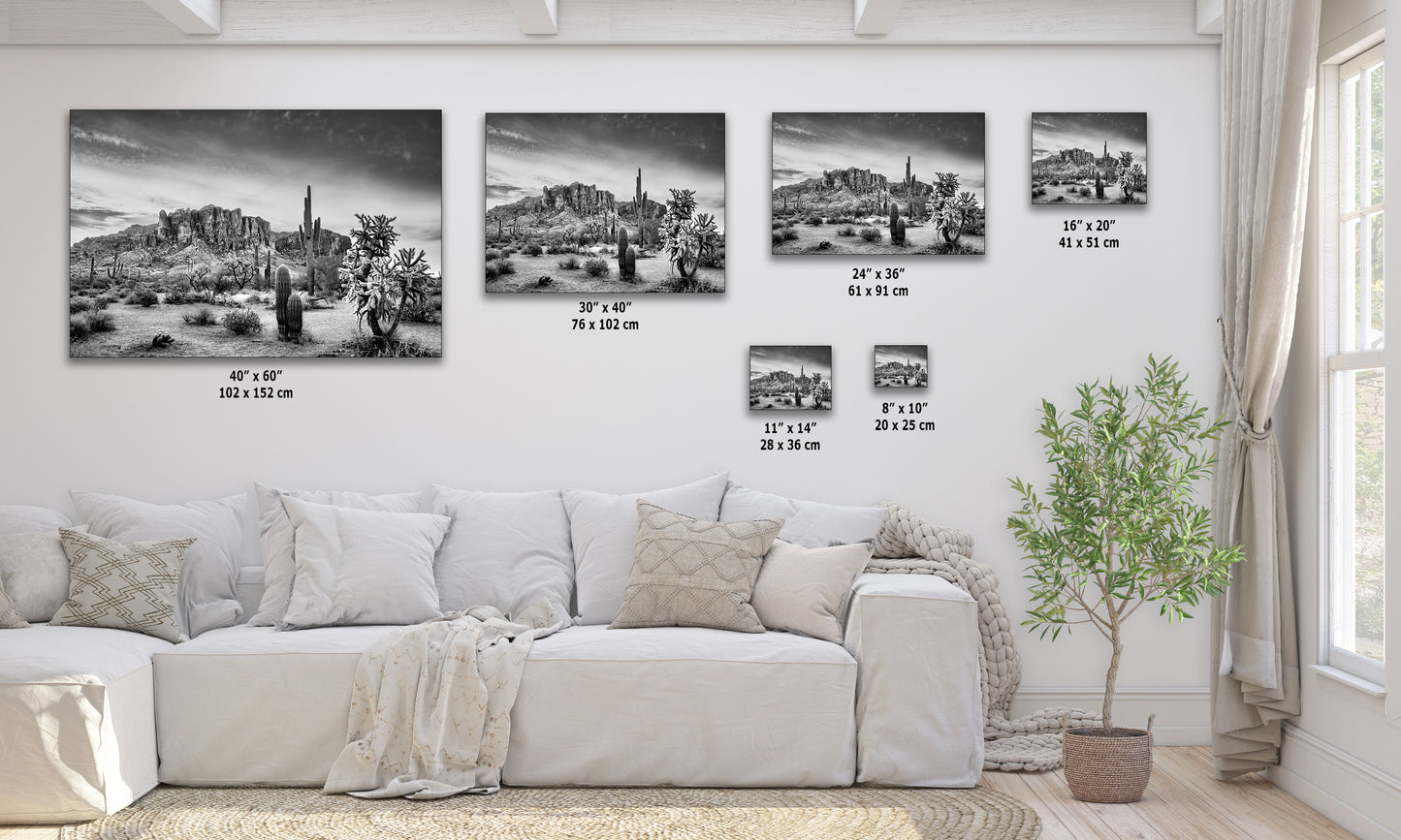 Arizona Desert Picture in Black and White, Saguaro Cactus Artwork Nature Photo, Southwestern Wall Art of Superstition Mountains at Lost Dutchman State Park