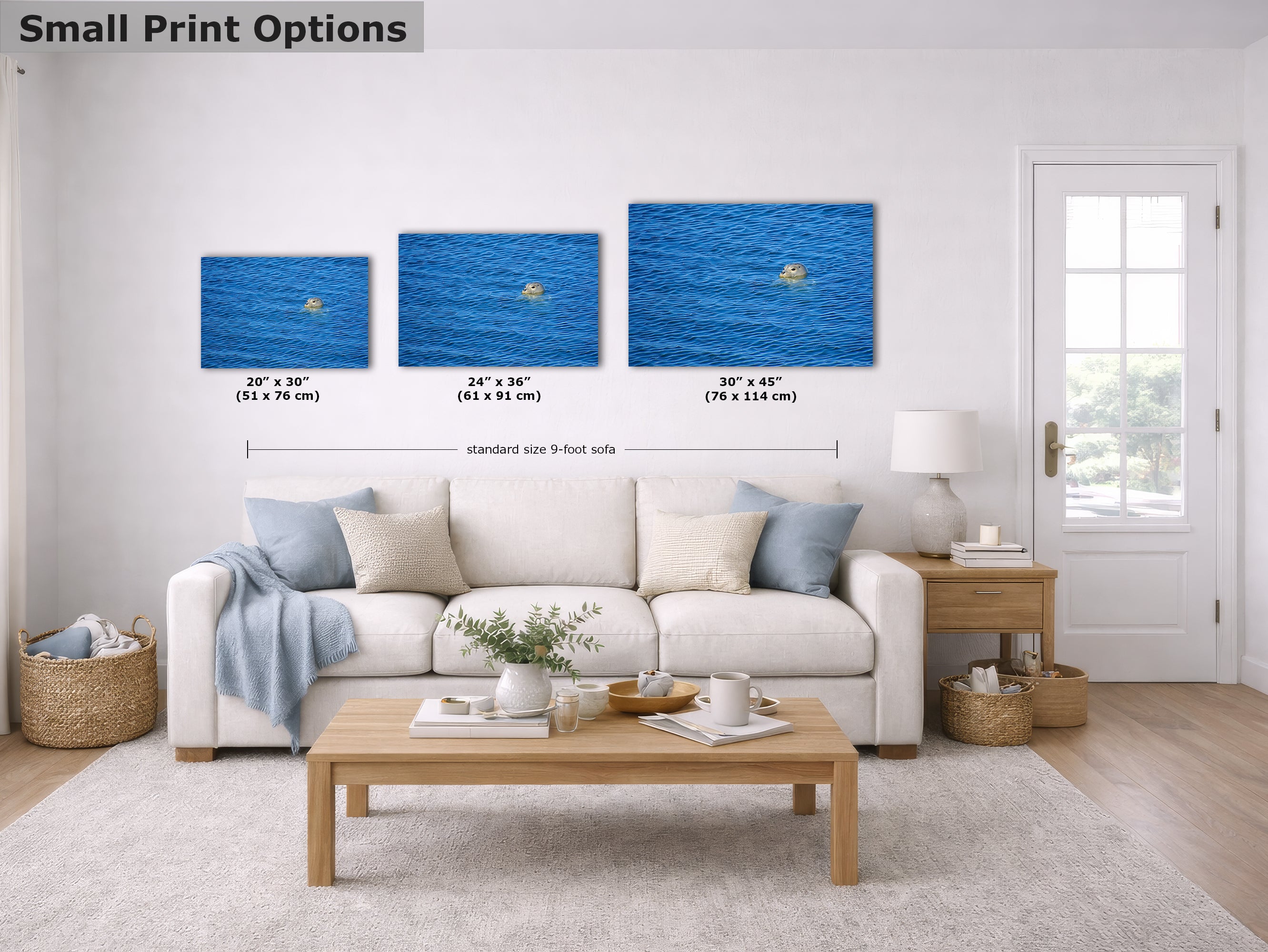 Seal Print Marine Mammal Wildlife Photography, Ocean Picture Relaxation Artwork Nature Photo