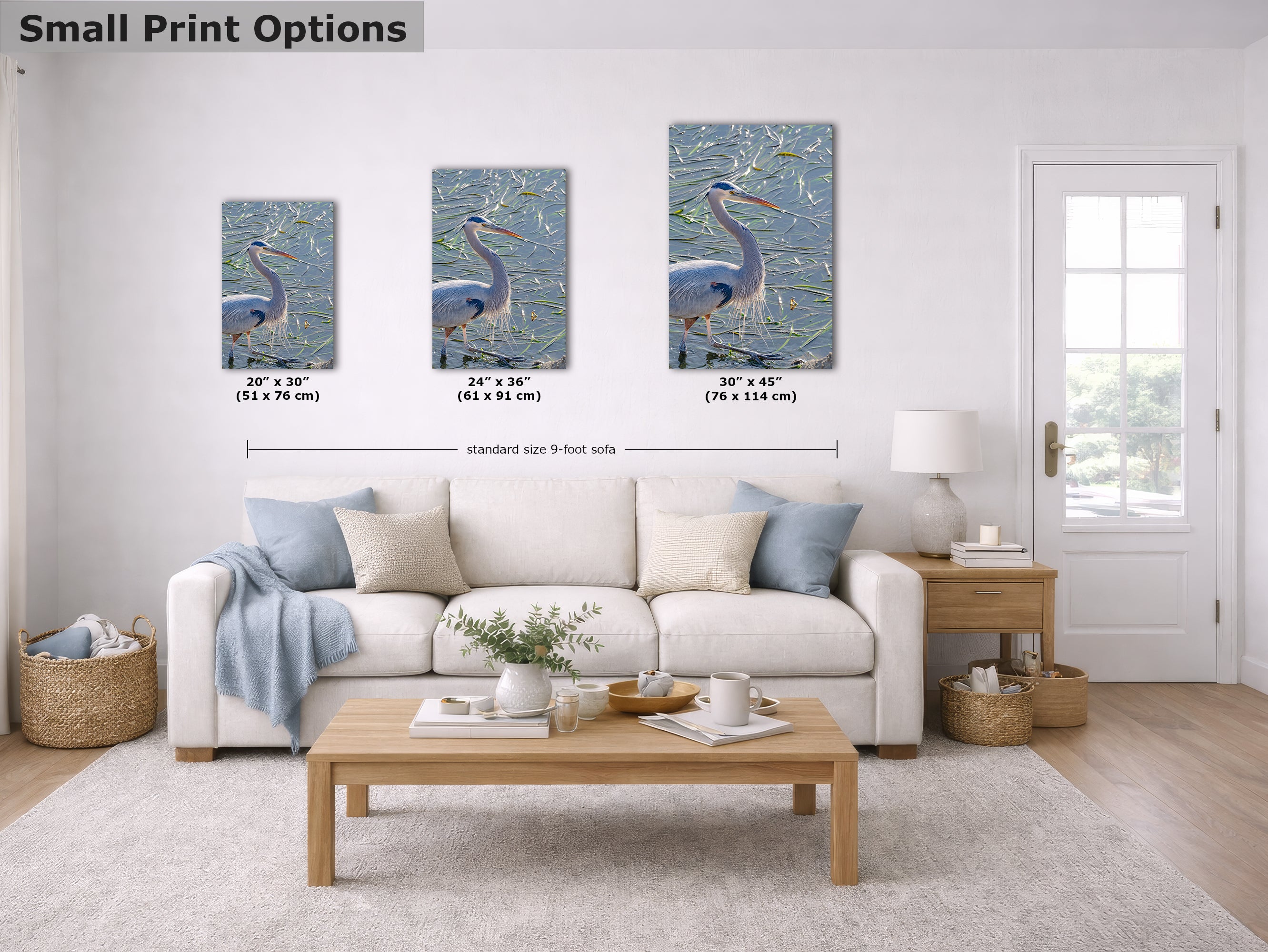 Great Blue Heron Art Wildlife Photography, Nature Wall Decor for Bird Lovers, Ocean Conservation, Relaxing Office or Room Artwork