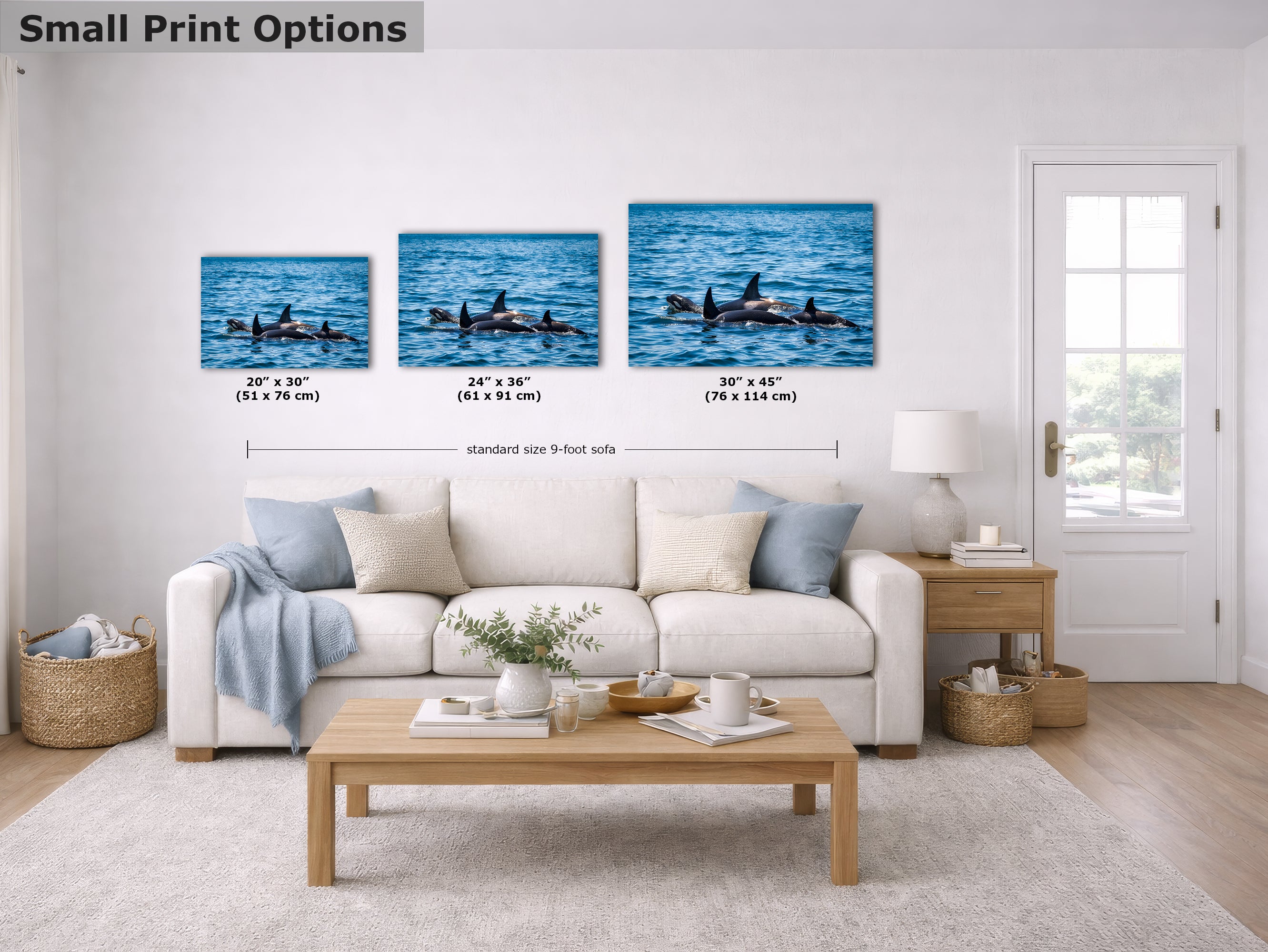 Wildlife Photography Ocean Picture of Orca (Killer Whale) Family Limited Edition Fine Art Print