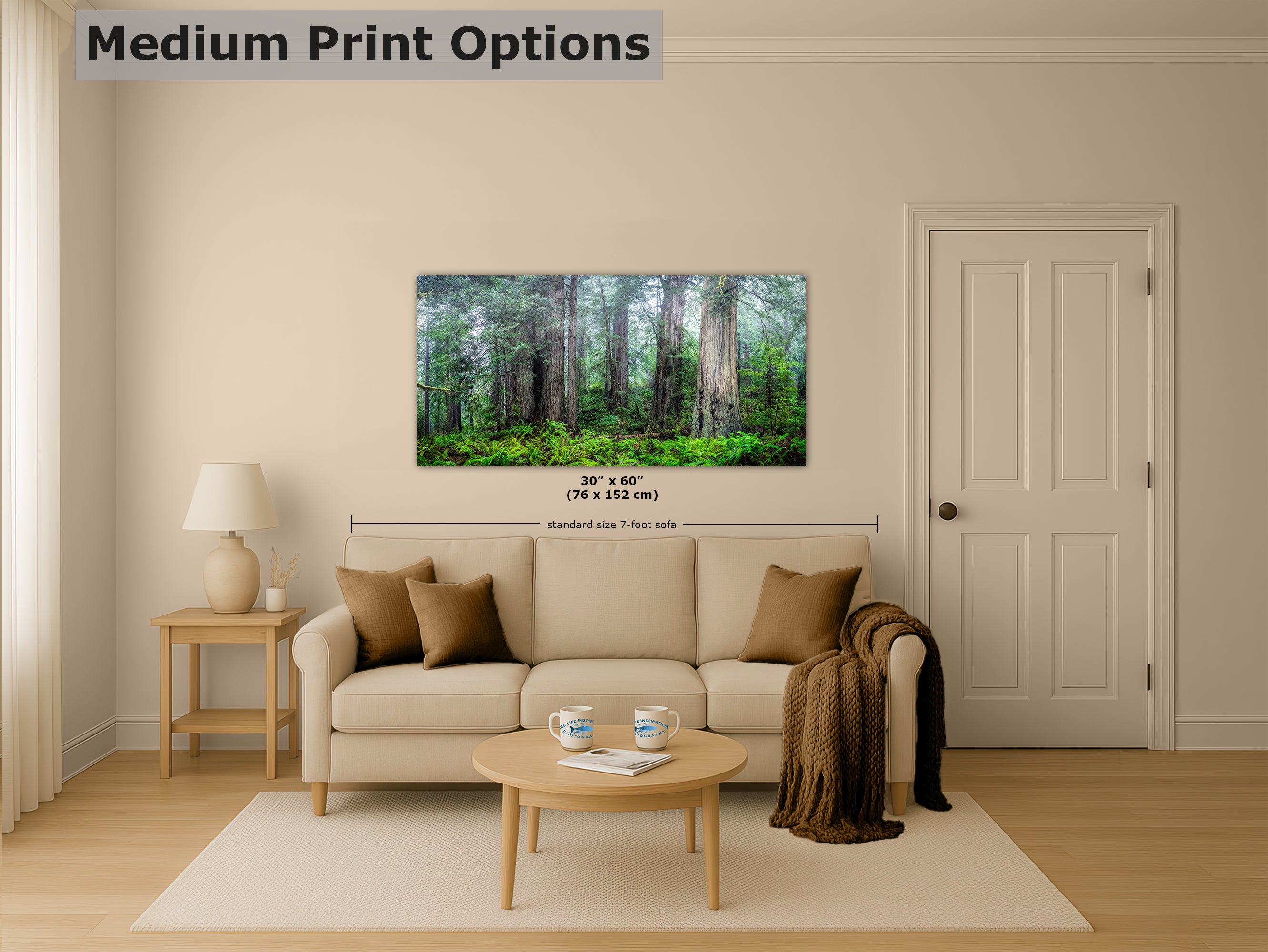 Redwood Trees Forest Picture Nature Photo, Forest Bathing in Misty California Redwoods Wall Art, for Relaxation in the Home and Office