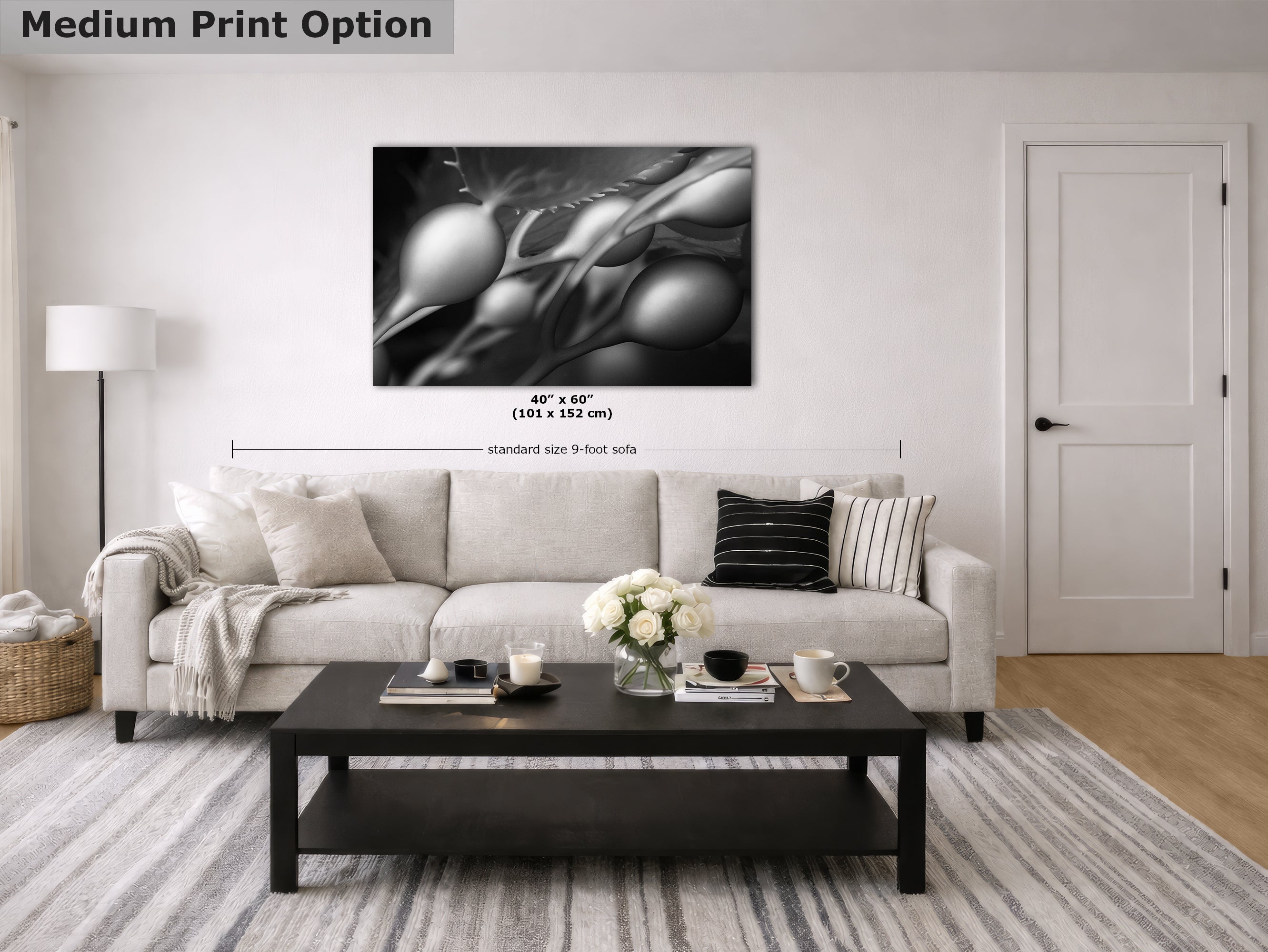 Limited Edition Fine Art Photography, California Giant Kelp Underwater Art, Awaken