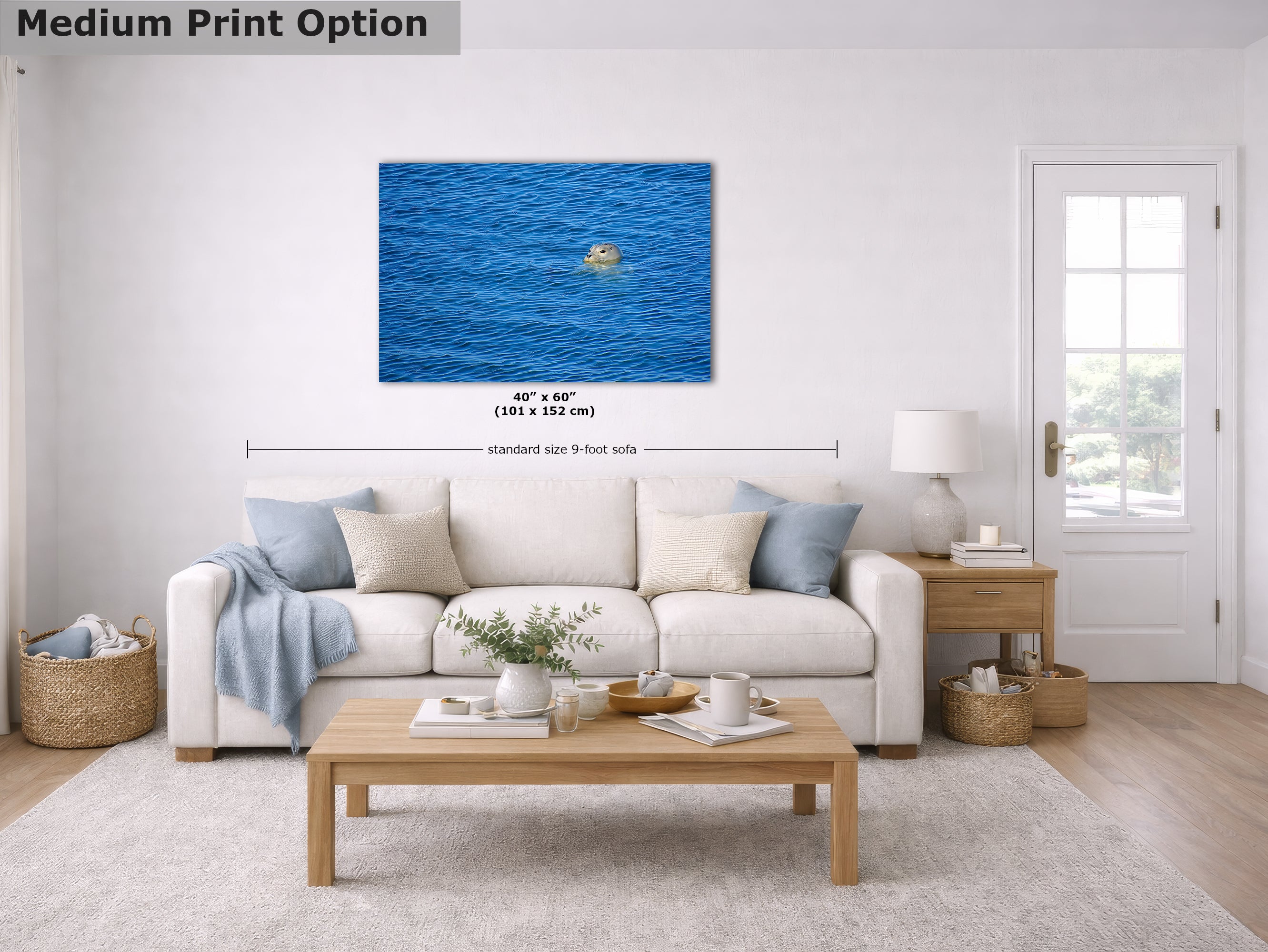 Seal Print Marine Mammal Wildlife Photography, Ocean Picture Relaxation Artwork Nature Photo