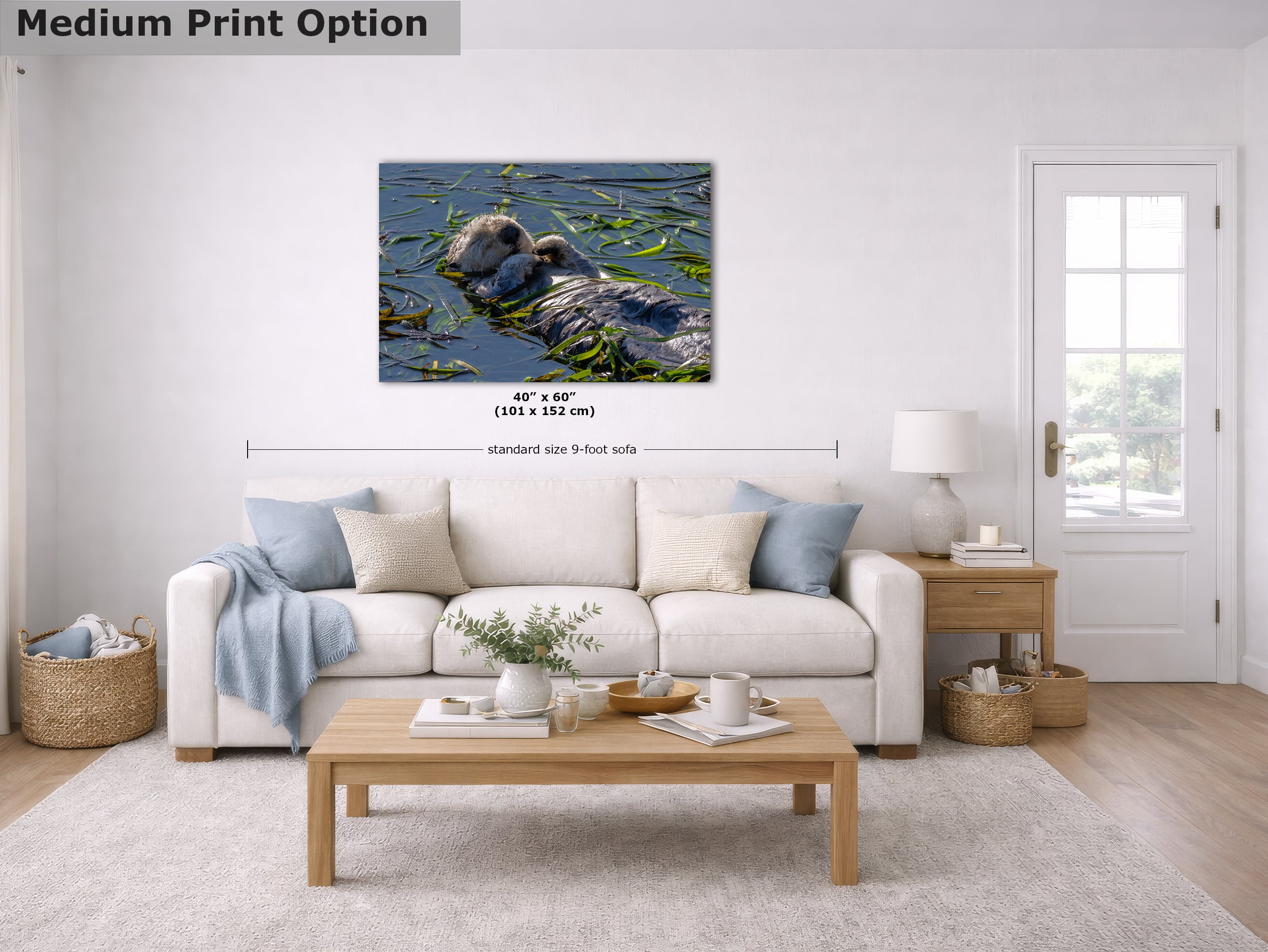 Marine Mammal Wildlife Photography Limited Edition Fine Art Print of California Sea Otter