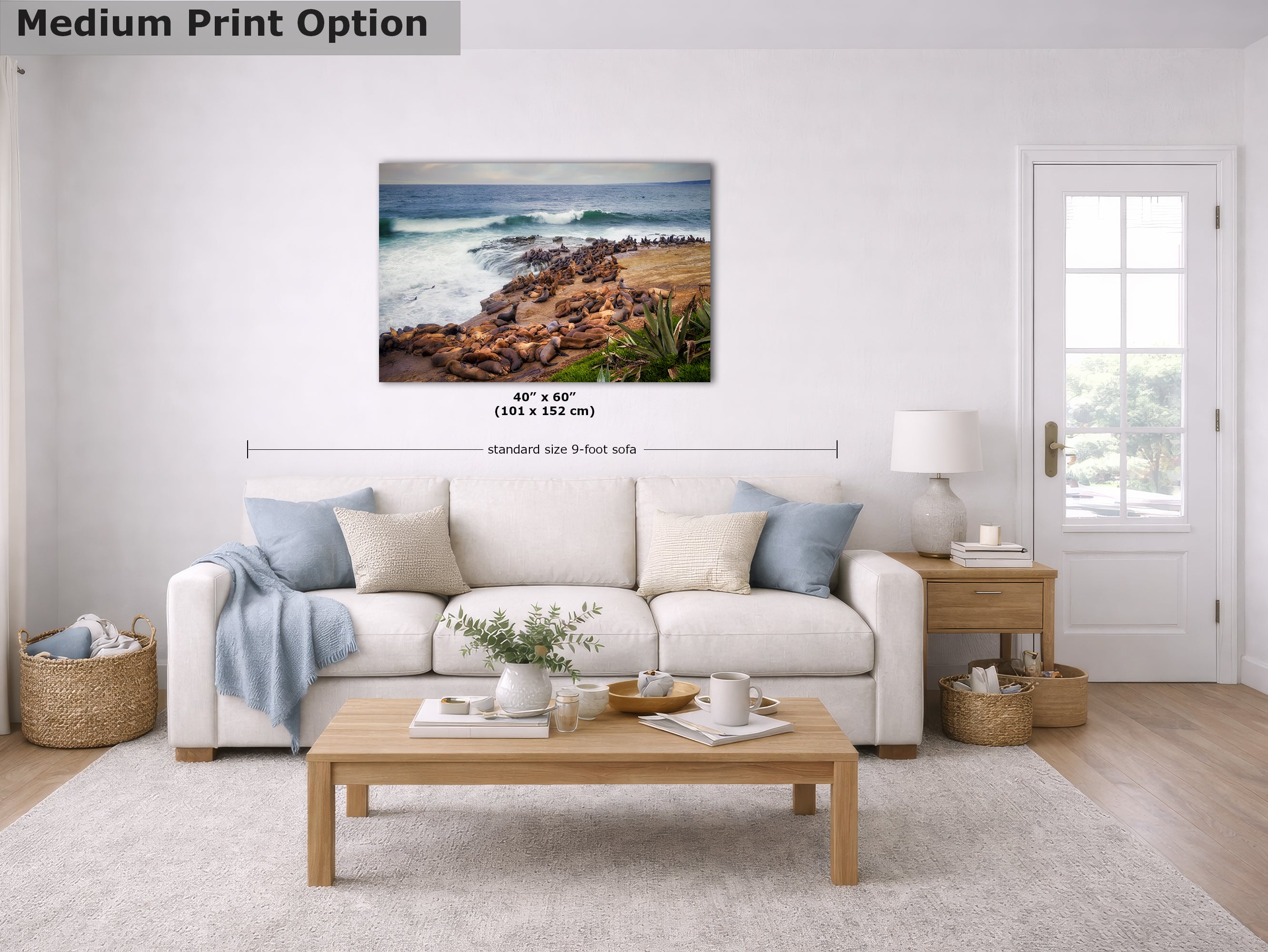 California Sea Lion Marine Mammal Wildlife Photography | Calming Nature Ocean Picture, Relaxation Artwork, La Jolla Coast, Nature Photo