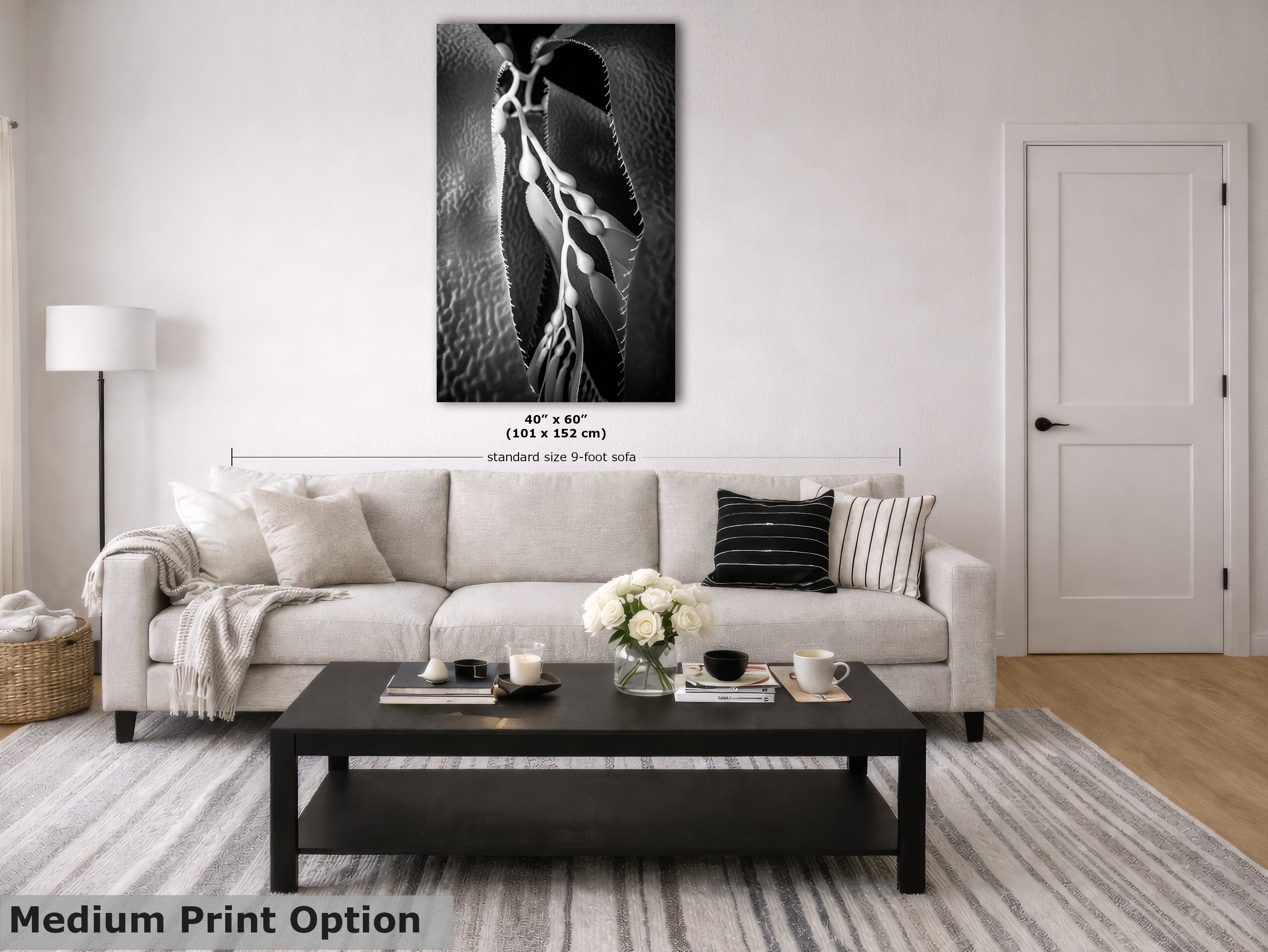 Limited Edition Fine Art Photography, Ocean Art California Giant Kelp, Essence