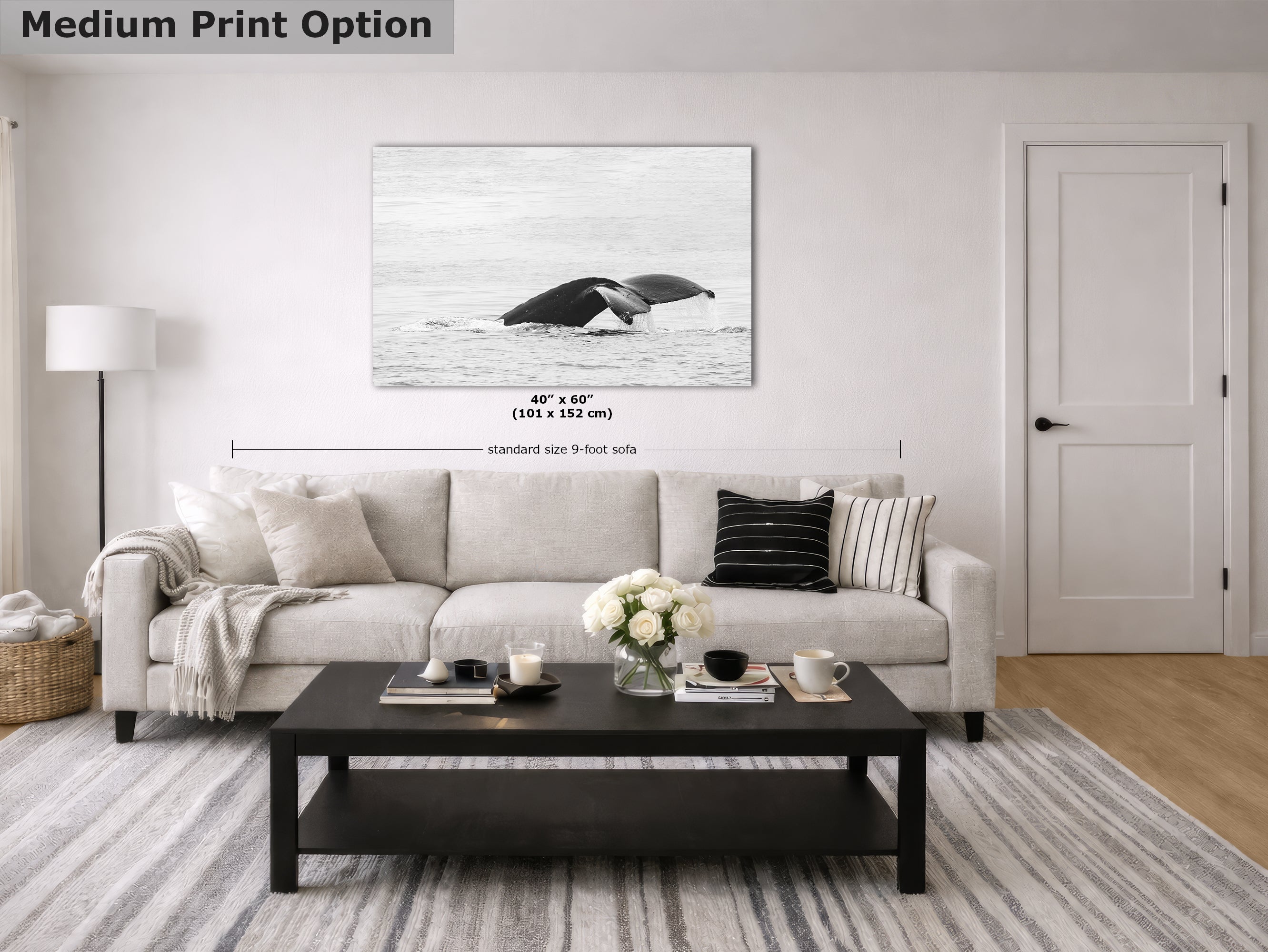 Humpback Whale Marine Mammal Wildlife Photography, Black and White, Monterey Bay Ocean Scene Art Print for Nature Lovers and Marine Conservation Decor
