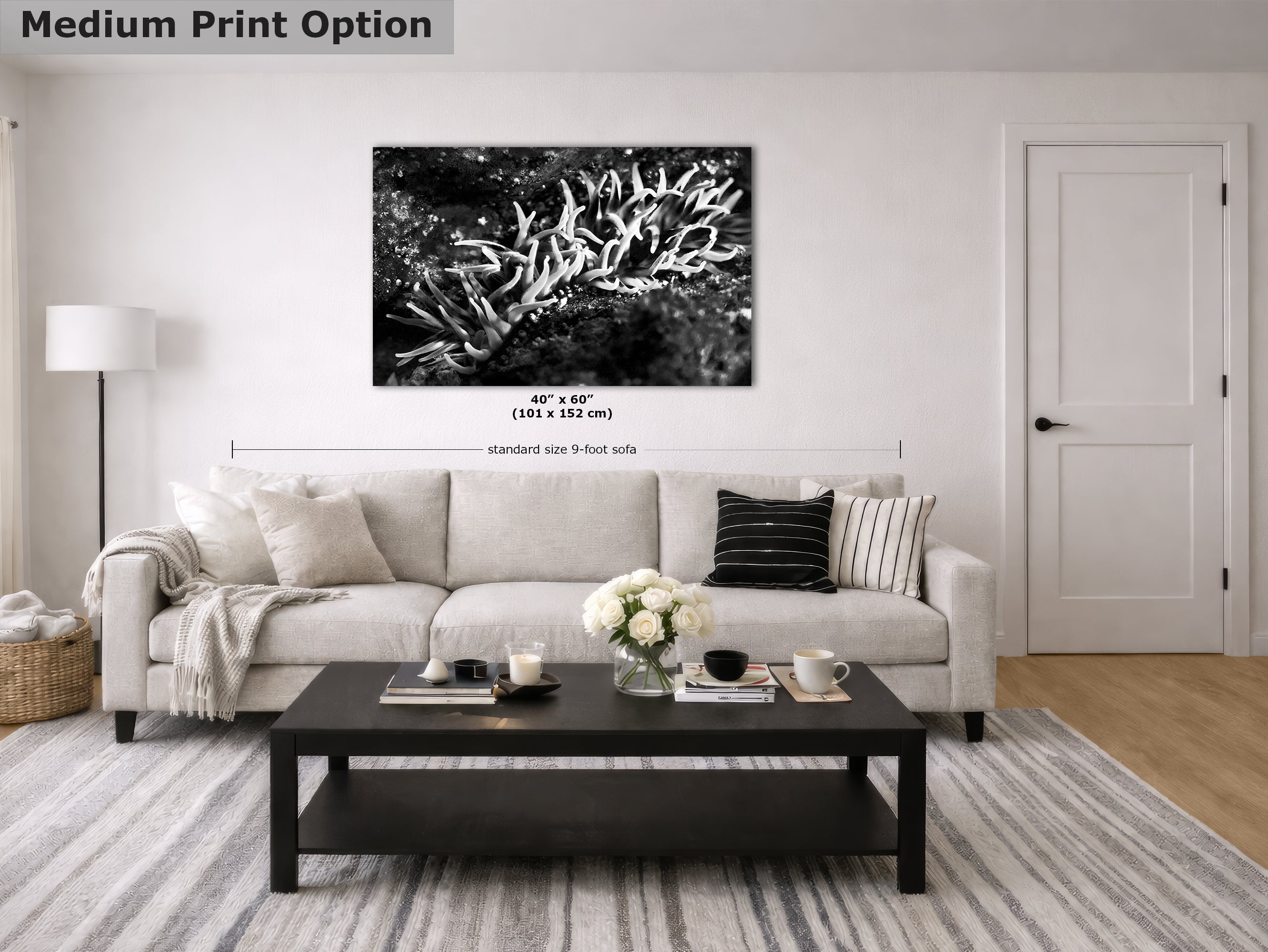 Sea Anemone Picture Ocean Life Underwater Scenery Nature Photo, Marine Biology Decor, Black and White Coral Reef Art for Marine Enthusiasts