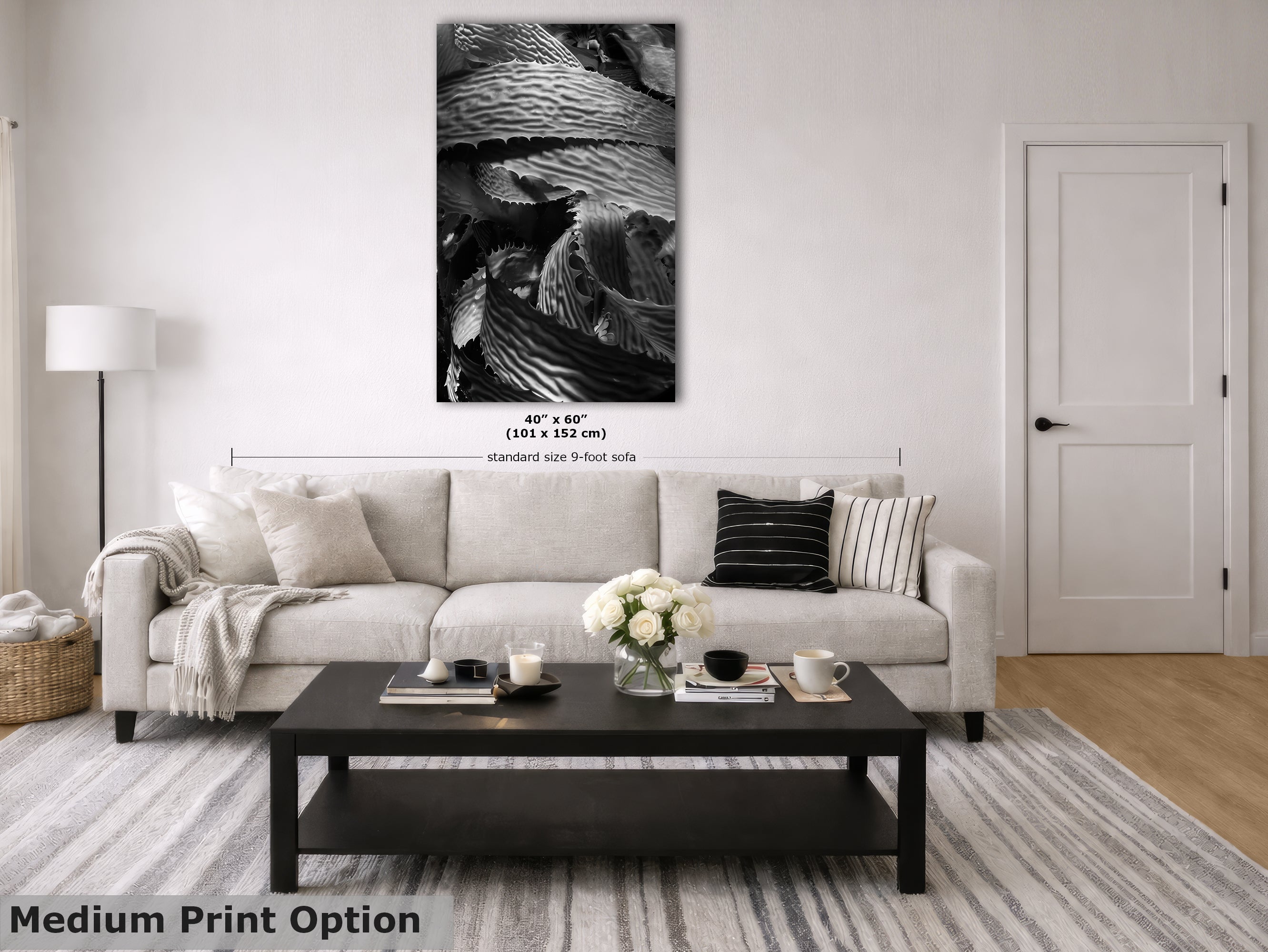 Limited Edition Fine Art Photography, California Giant Kelp Underwater Art, Patience