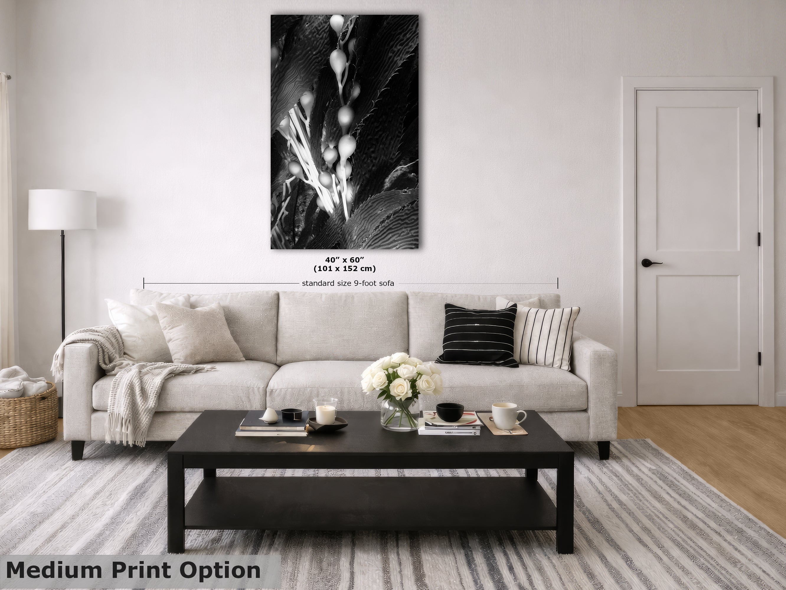 Limited Edition Fine Art Photography, Sea Life Art California Giant Kelp, Surrender