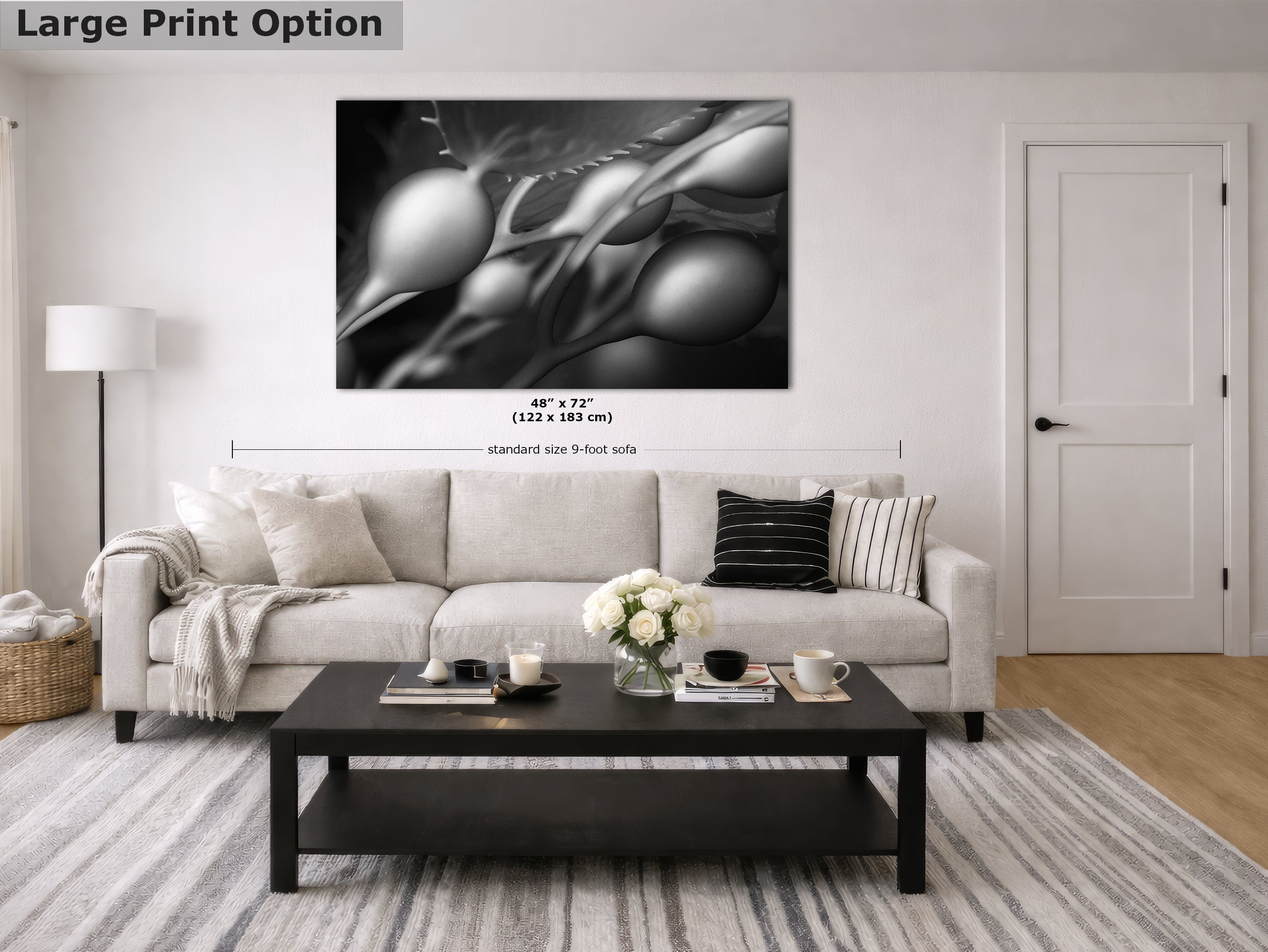 Limited Edition Fine Art Photography, California Giant Kelp Underwater Art, Awaken