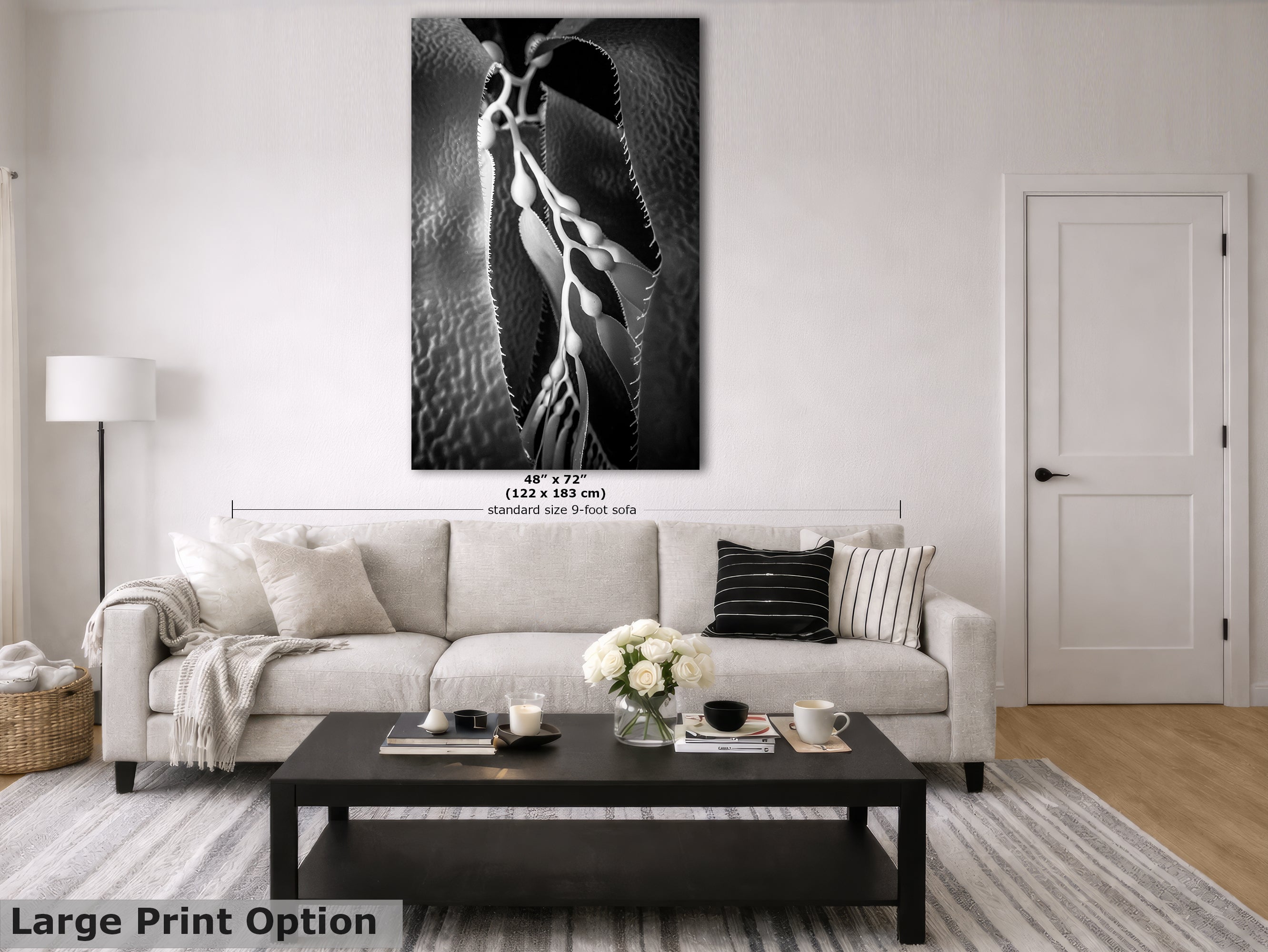Limited Edition Fine Art Photography, Ocean Art California Giant Kelp, Essence