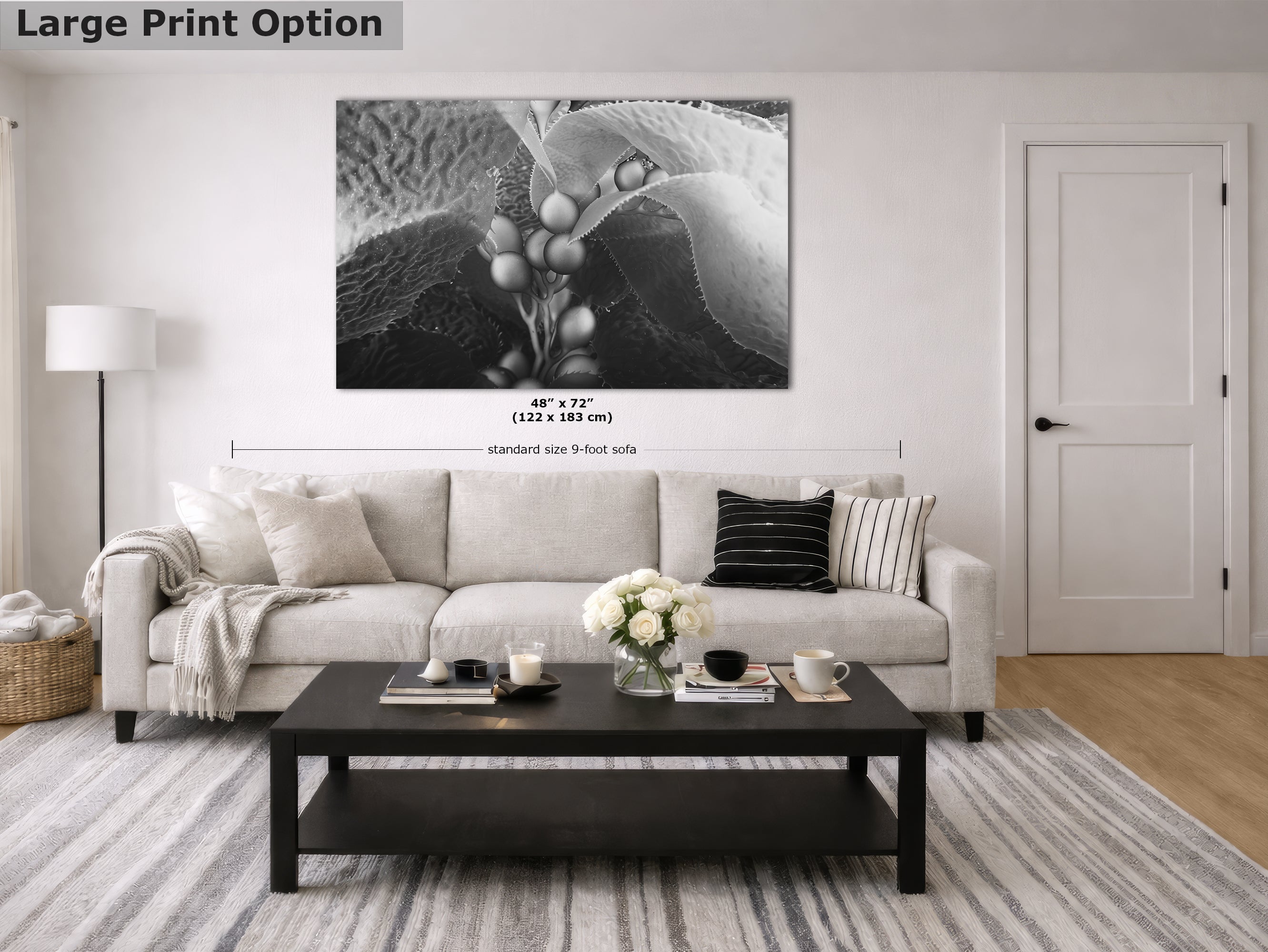Limited Edition Fine Art Photography, California Giant Kelp Underwater Art, Intention