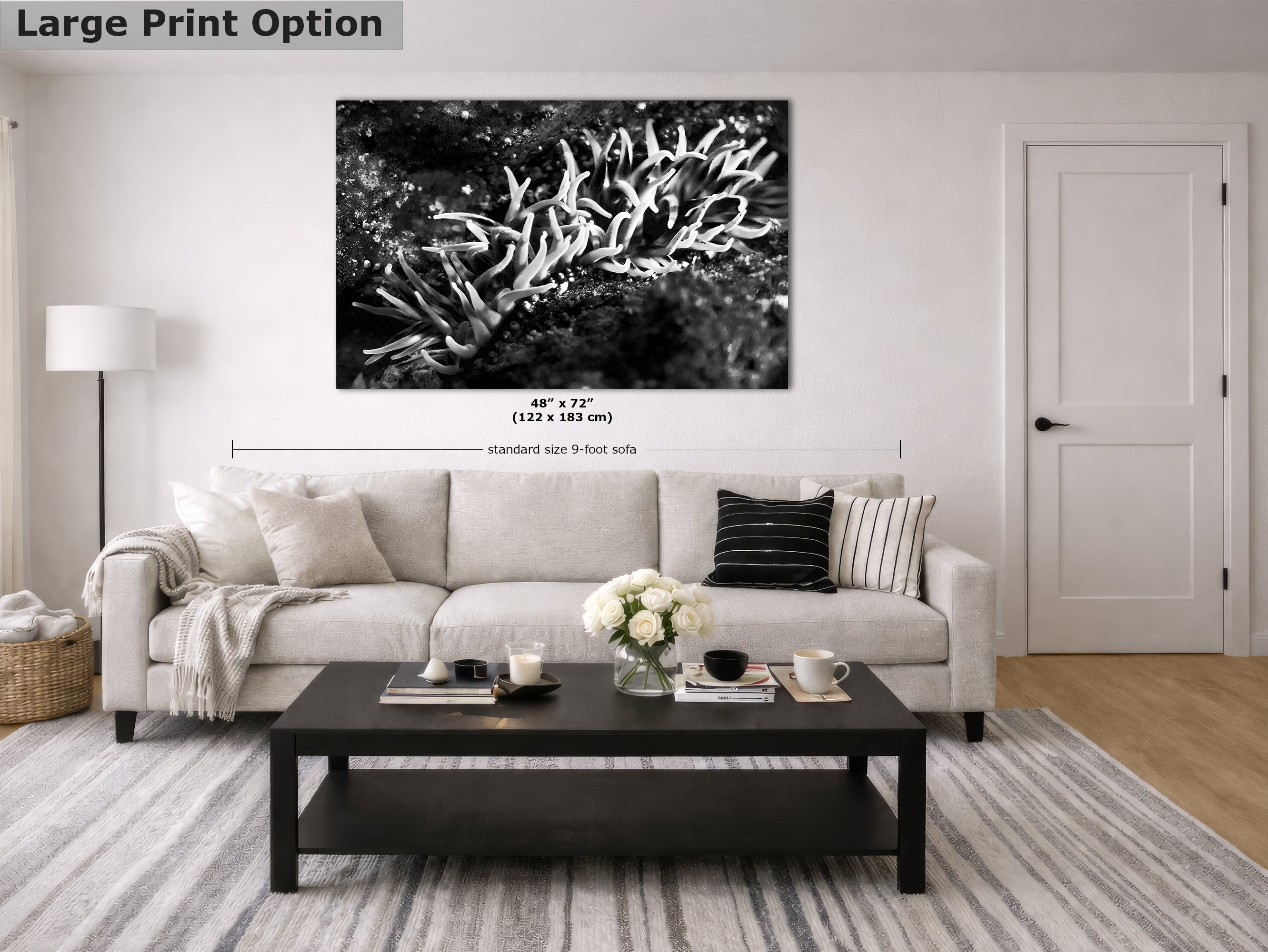 Sea Anemone Picture Ocean Life Underwater Scenery Nature Photo, Marine Biology Decor, Black and White Coral Reef Art for Marine Enthusiasts
