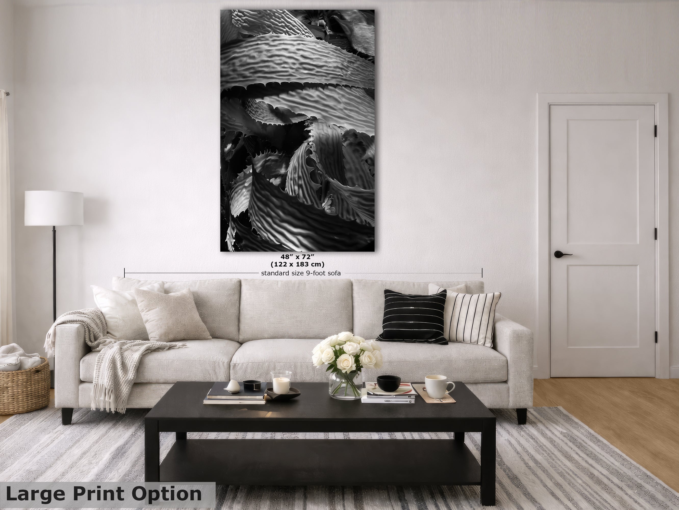 Limited Edition Fine Art Photography, California Giant Kelp Underwater Art, Patience