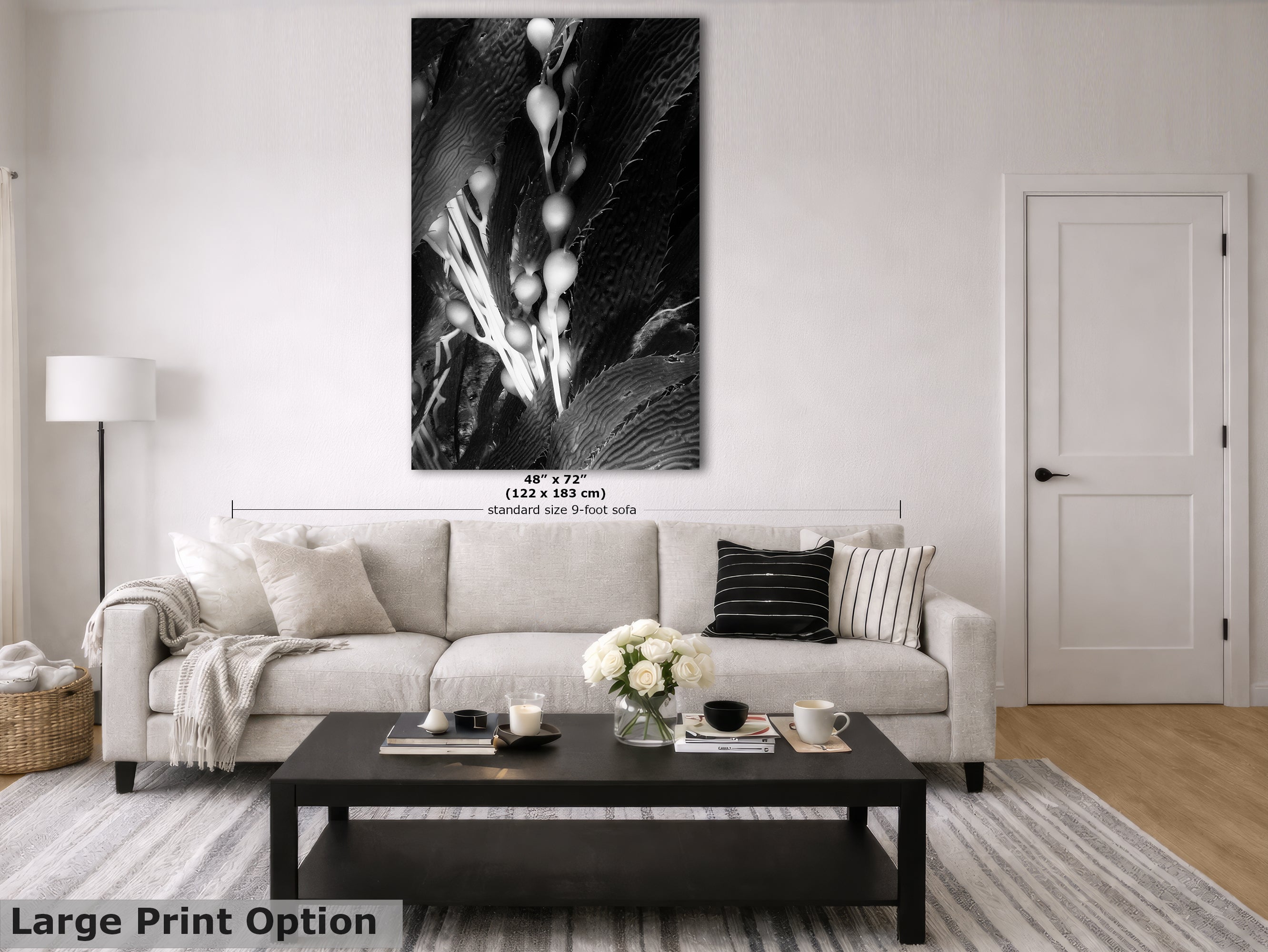 Limited Edition Fine Art Photography, Sea Life Art California Giant Kelp, Surrender