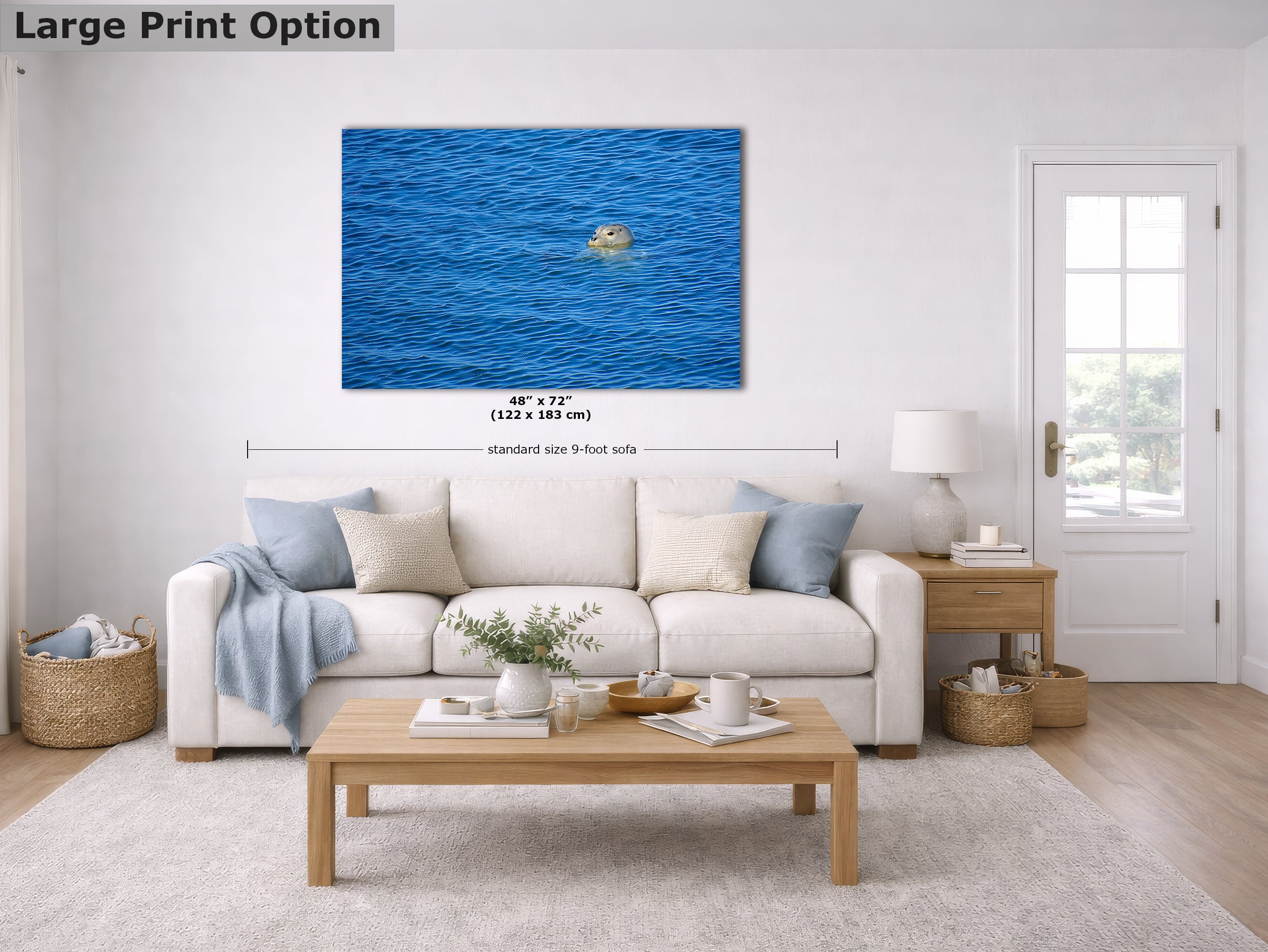 Seal Print Marine Mammal Wildlife Photography, Ocean Picture Relaxation Artwork Nature Photo