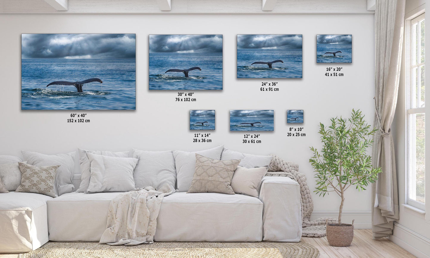 Humpback whale fluke wall art displayed in various sizes above a white sectional sofa in a bright, modern living room.