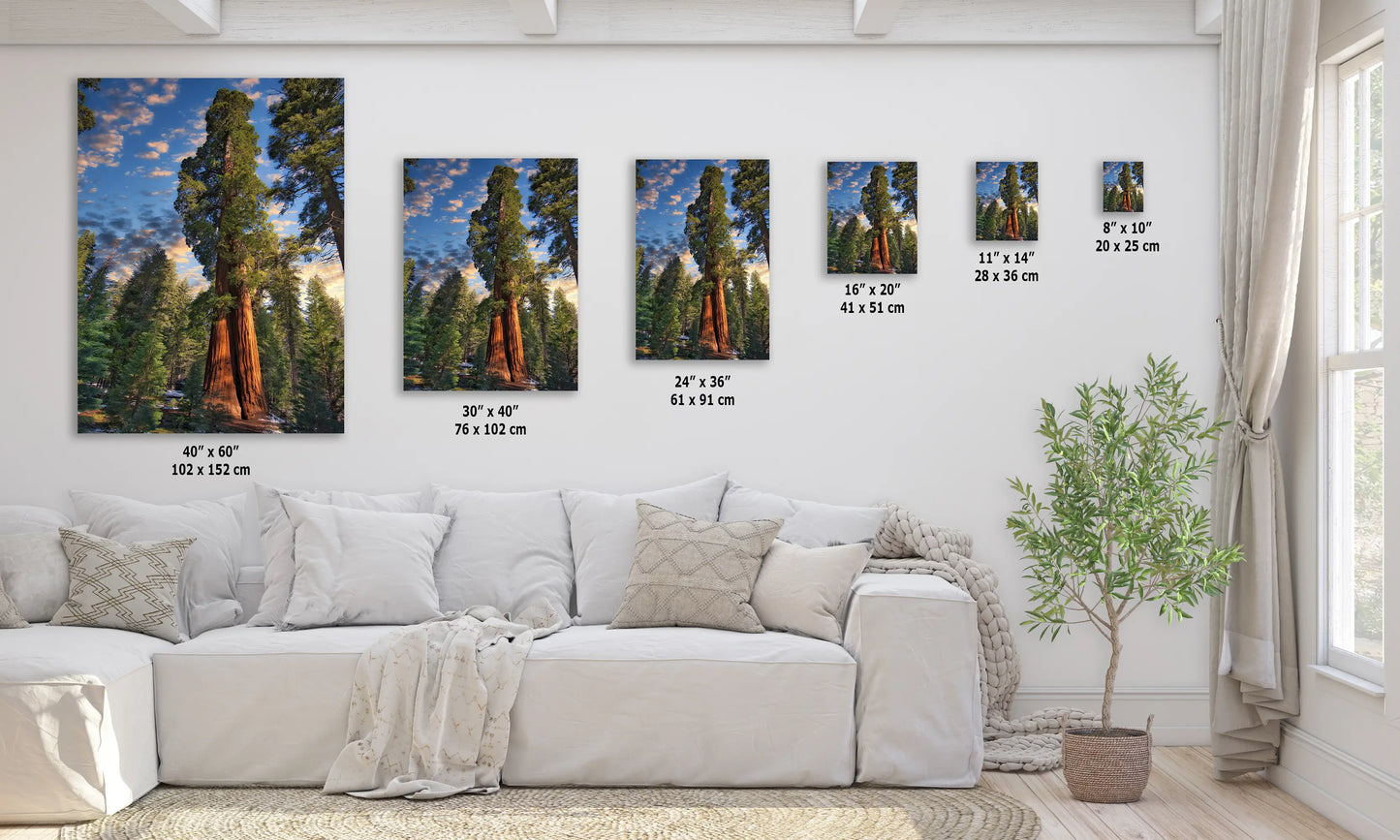 a living room with a white couch and paintings on the wall