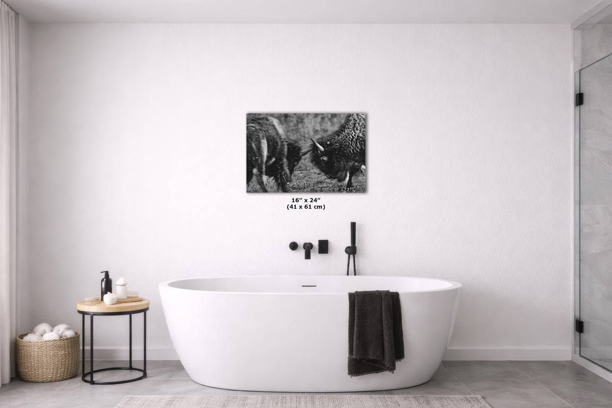 A black and white animal print canvas wall art print depicting two buffalo, displayed in a modern bathroom setting above a white freestanding bathtub.