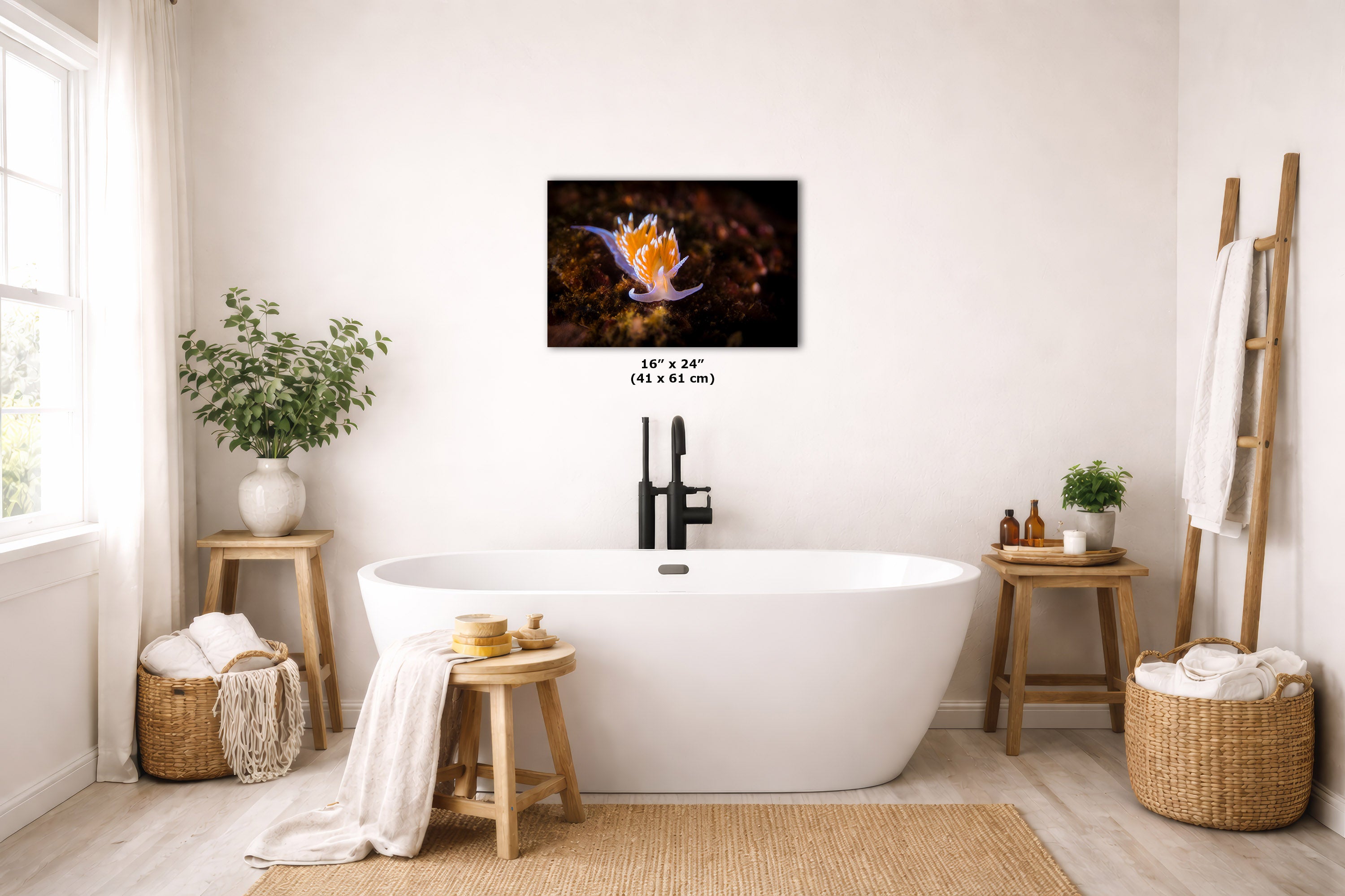 Hermissenda Opalescent Nudibranch Ocean Life Underwater Scenery