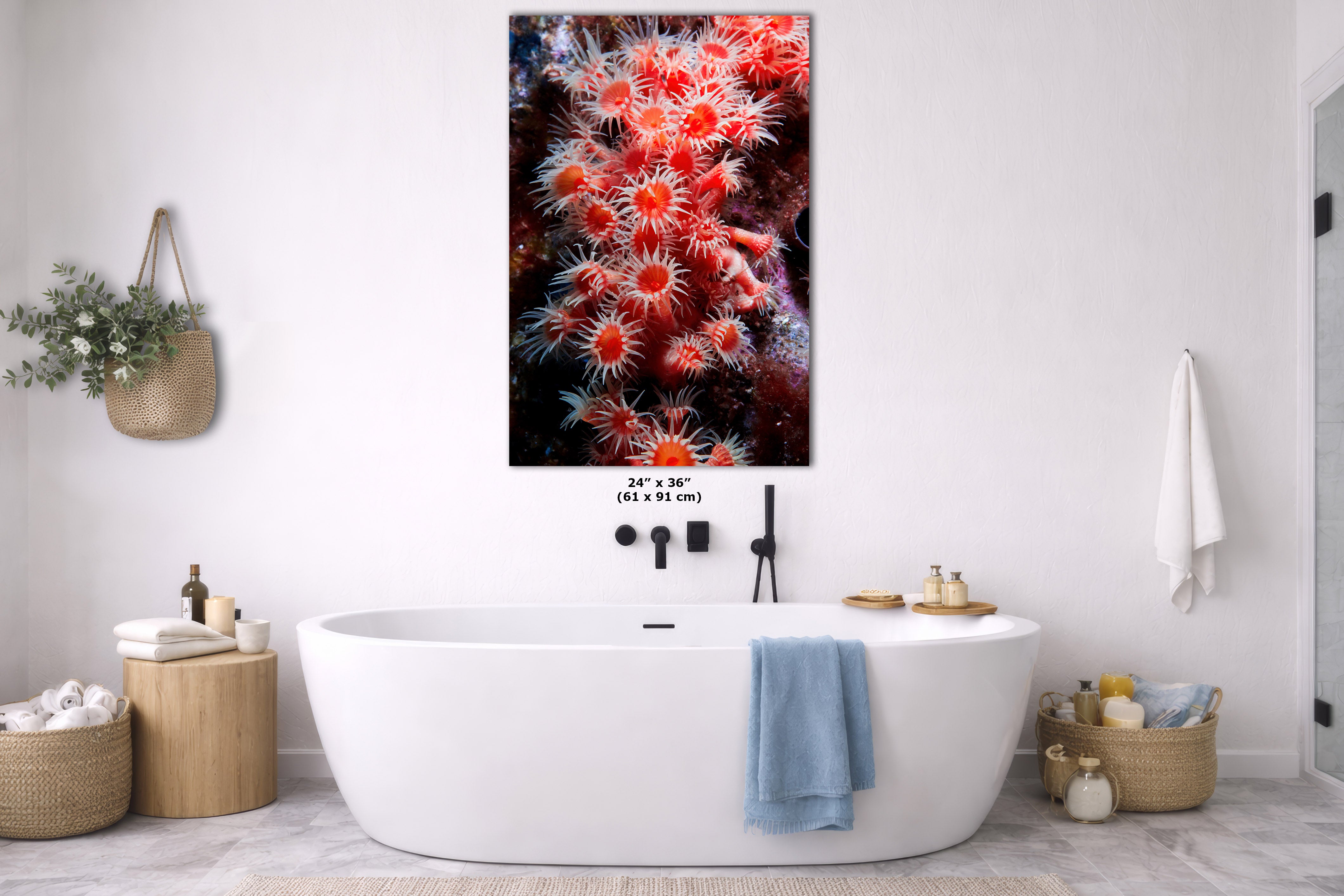 A vertical canvas wall art print depicting a close-up of vibrant red and orange sea anemones on a dark background, styled in a modern white bathroom above a freestanding bathtub.