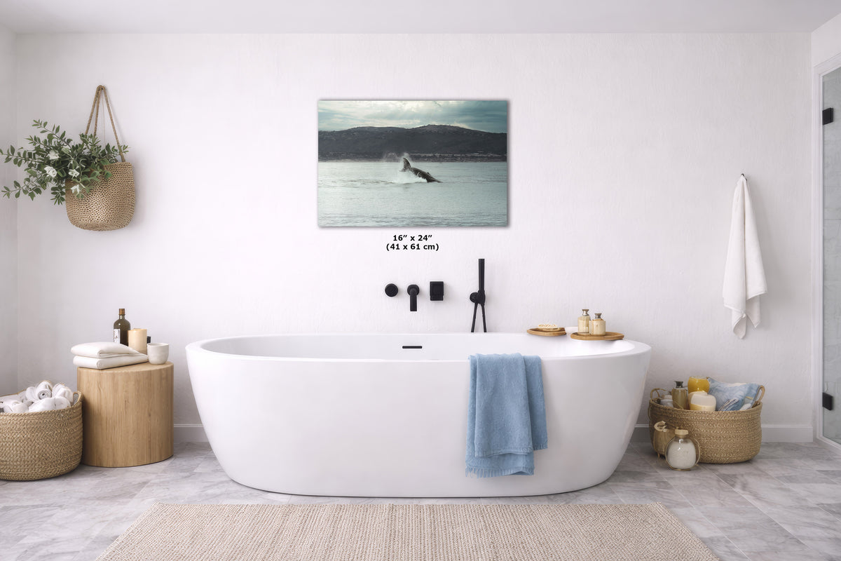 A framed wall art print showing a humpback whale tail, displayed above a white freestanding bathtub in a bright, modern bathroom. The print has a black border and includes size text reading 16" x 24" (41 x 61 cm).