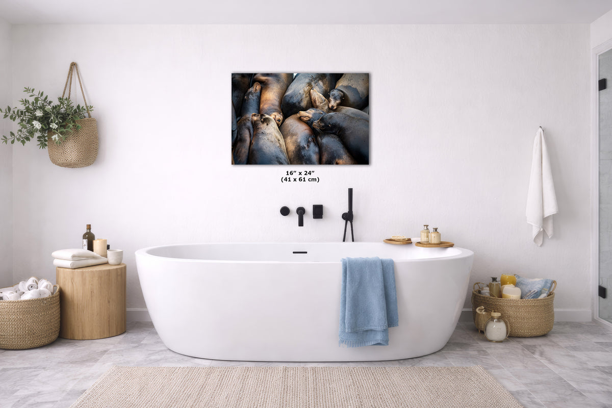 A wall art print showing a pile of sea lions, displayed above a white freestanding bathtub in a bright, modern bathroom. The print includes size text reading 16" x 24" (41 x 61 cm).