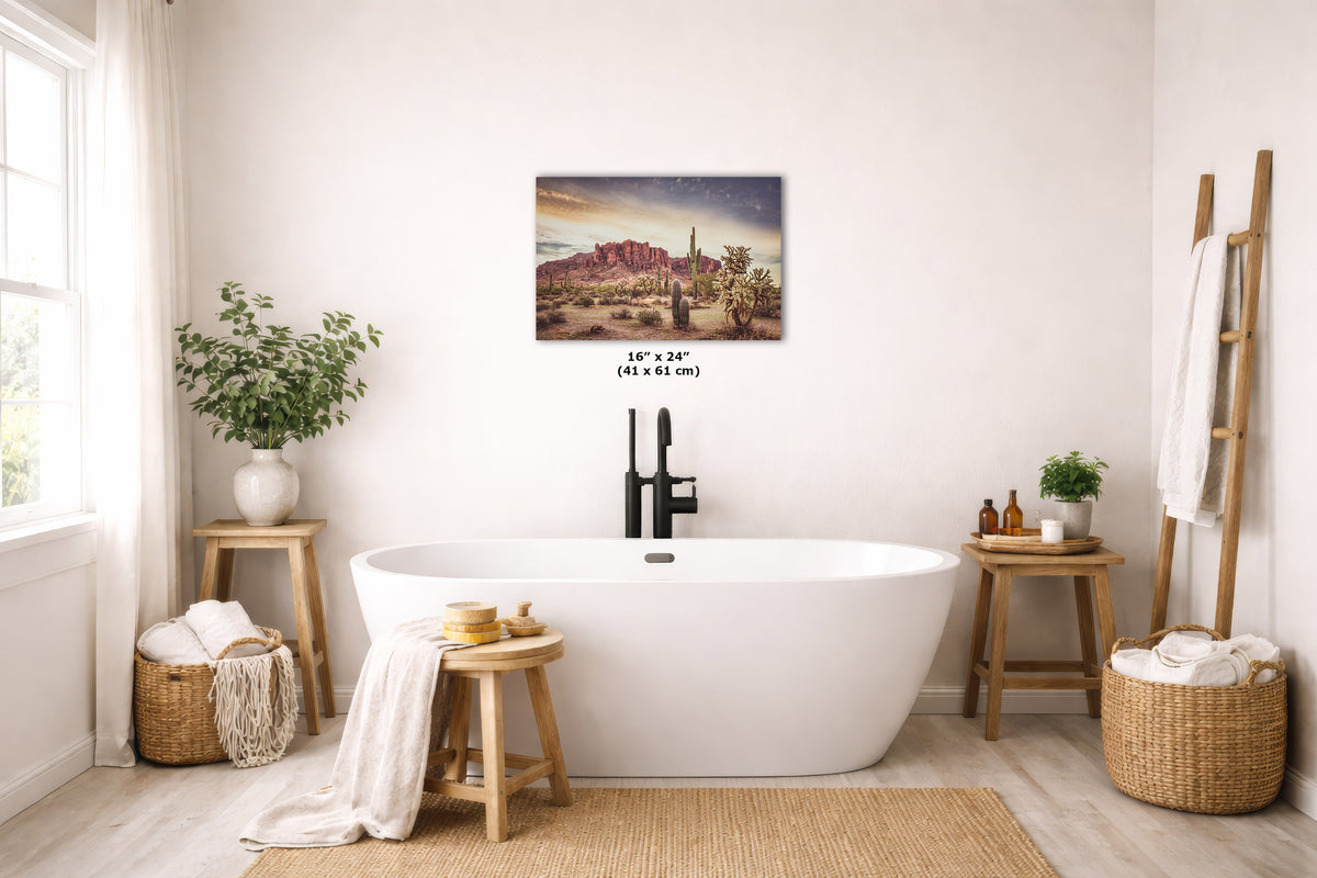 A landscape art print depicting a desert canyon scene with a lone cactus, displayed on a bathroom wall above a white freestanding bathtub. The print includes size text reading 16 x 24 (41 x 61 cm).