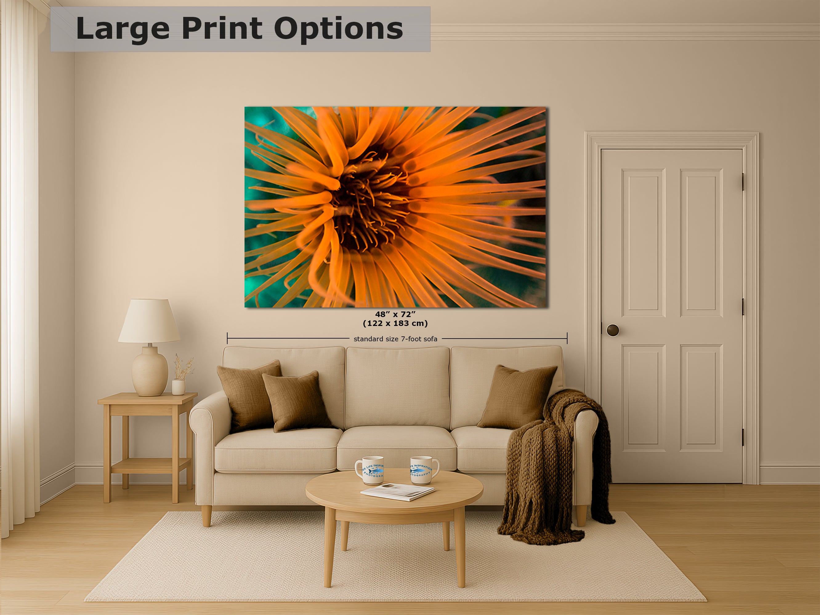 Sea Anemone Picture Ocean Life Underwater Scenery Nature Photo, Marine Biology Wall Art, Vibrant Coral Reef, Gift for Ocean Lover