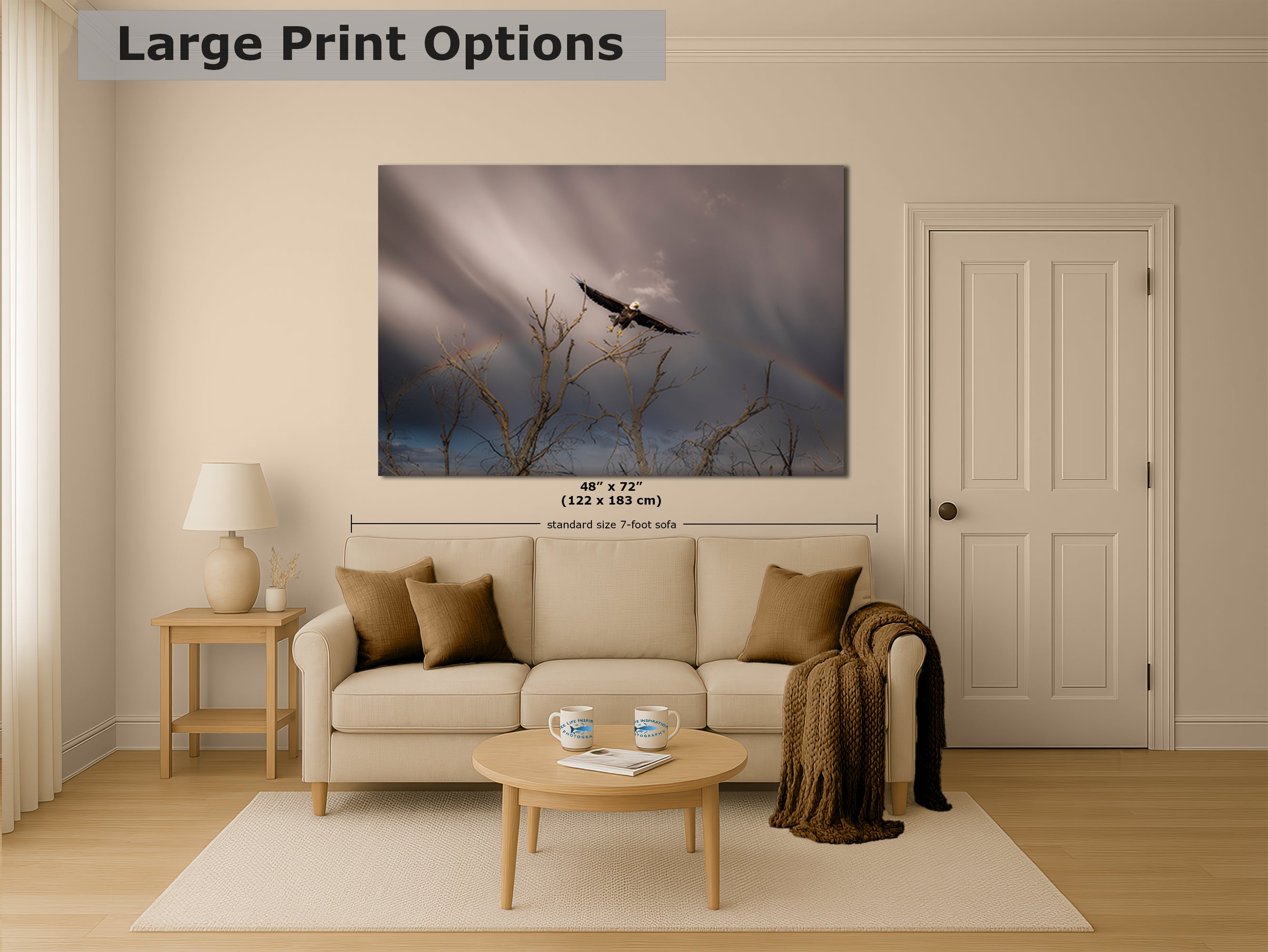 Soaring Bald Eagle Picture Wildlife Photography Wall Art, Nature Photo, Bird Photography, Rustic Cabin Decor, Office or Dorm Room Wall Decor