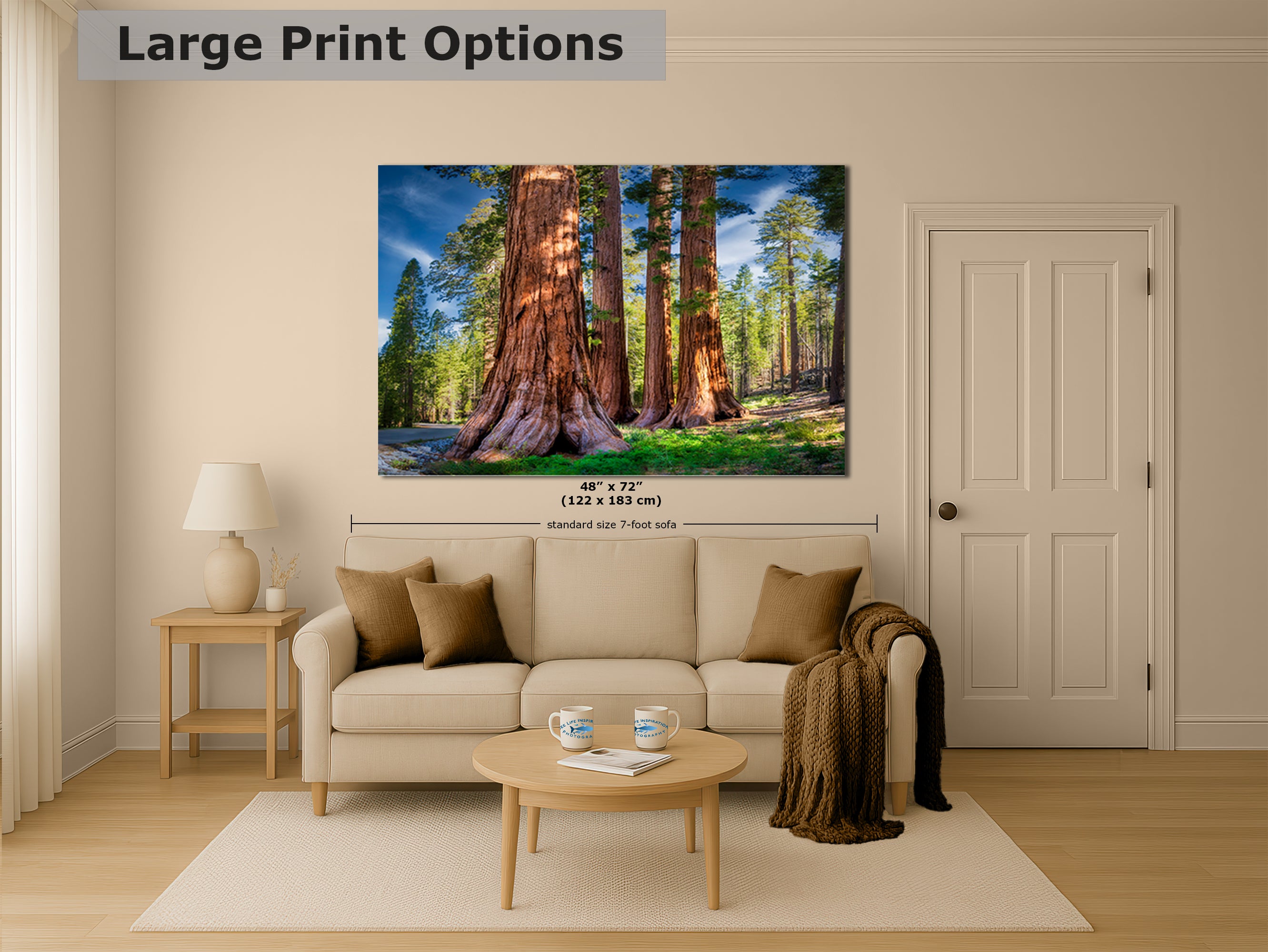 Giant Sequoia Tree Forest Picture Nature Photo, Redwood Trees Forest Bathing for Relaxation and Meditation in Living Room and Office