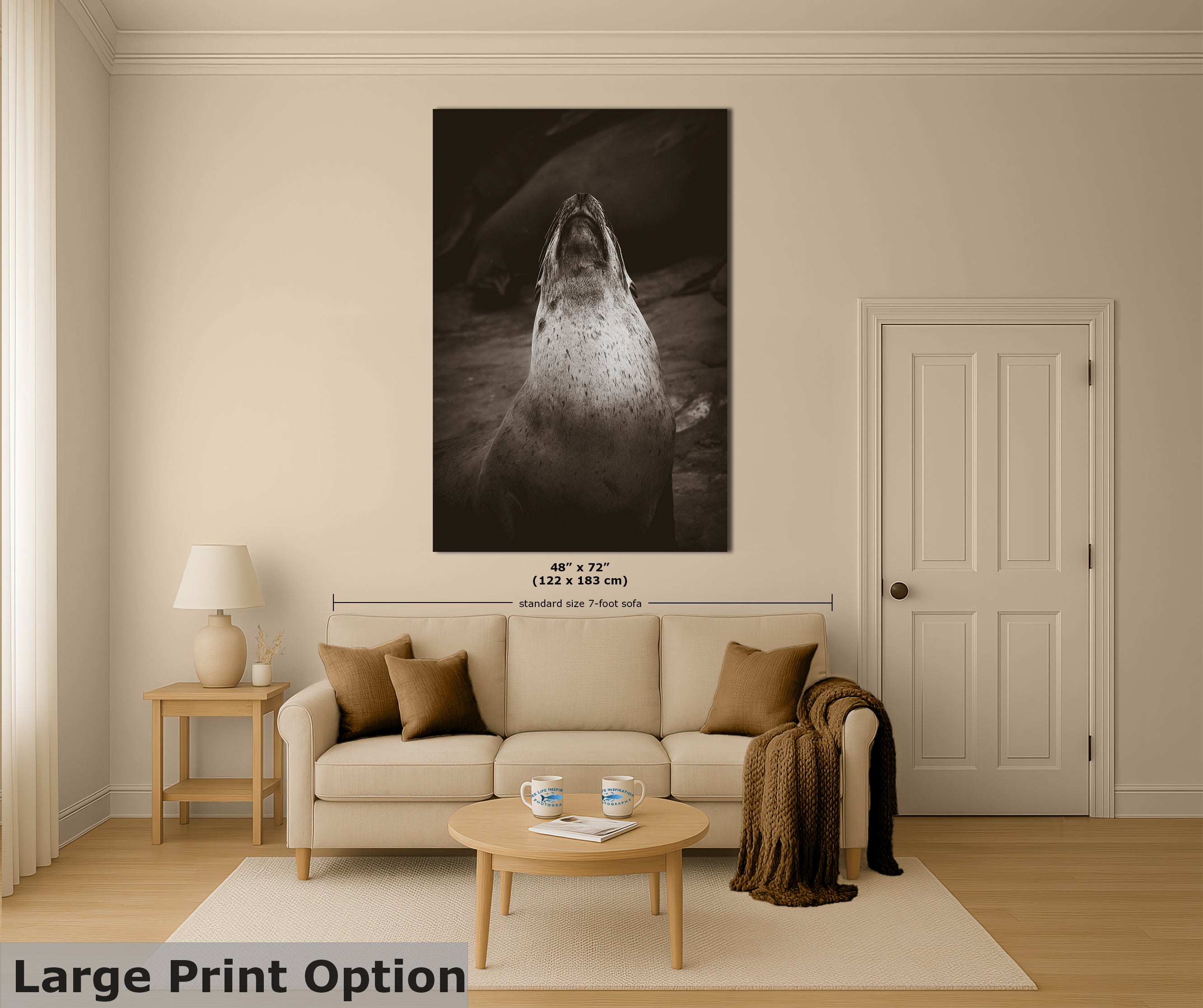 California Sea Lion Marine Mammal Wildlife Photography, Ocean Animals, Coastal House Decor, Nature Lover Gift, Marine Biology Artwork