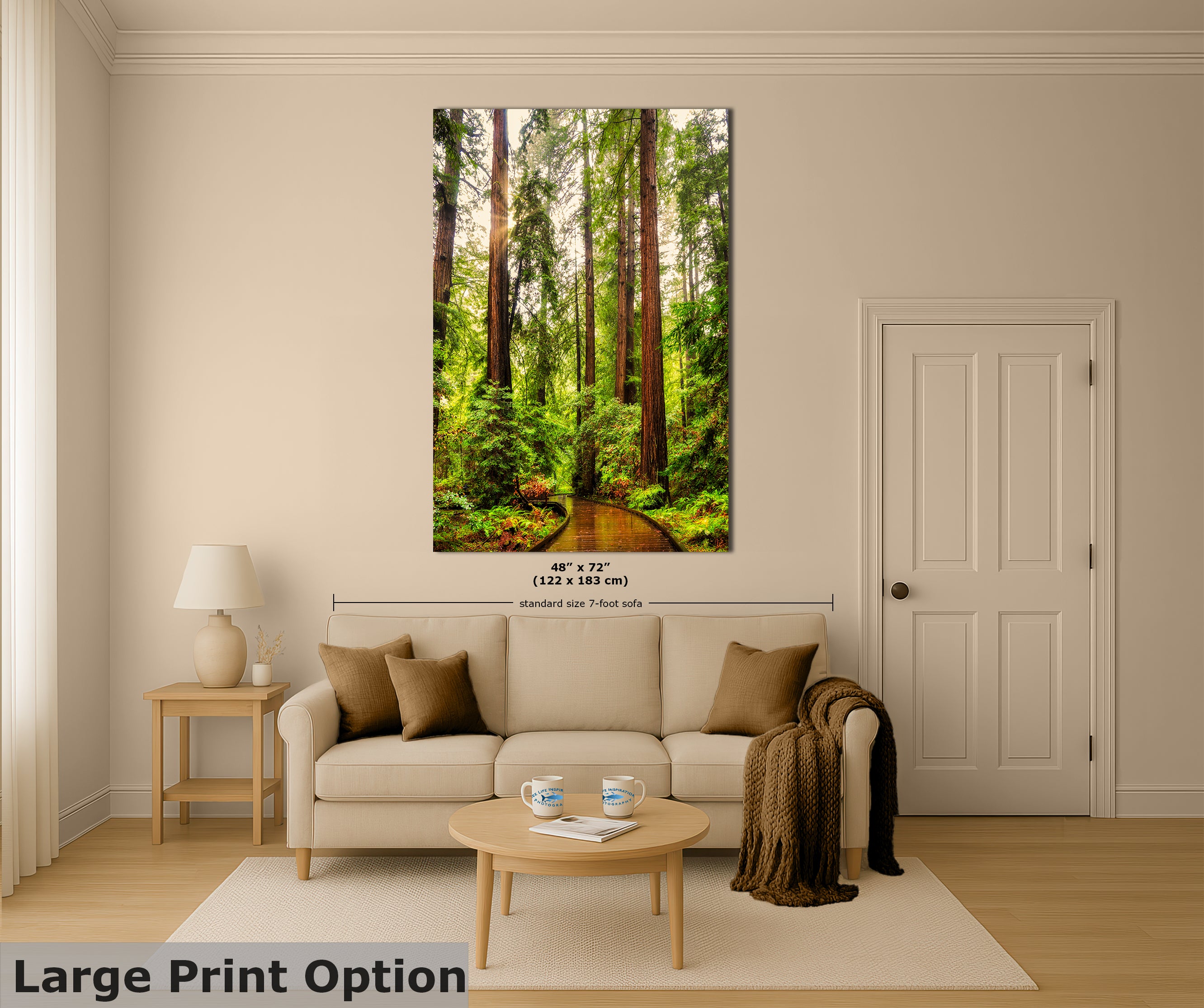 Redwood Trees Forest Picture Nature Photo, Forest Bathing House Decor