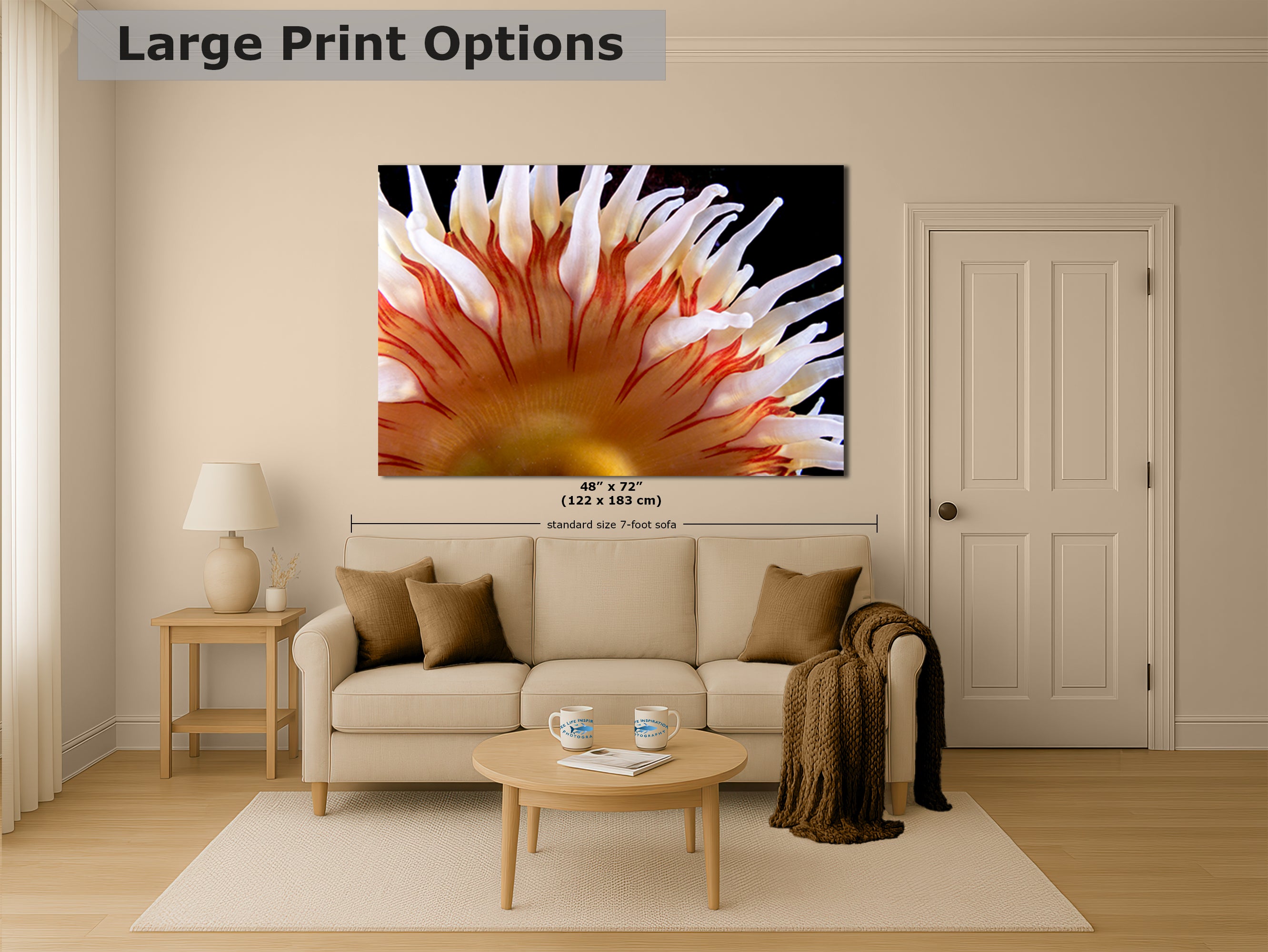 Sea Anemone Picture Ocean Life Underwater Scenery Nature Photo, Marine Biology Coral Reef Art