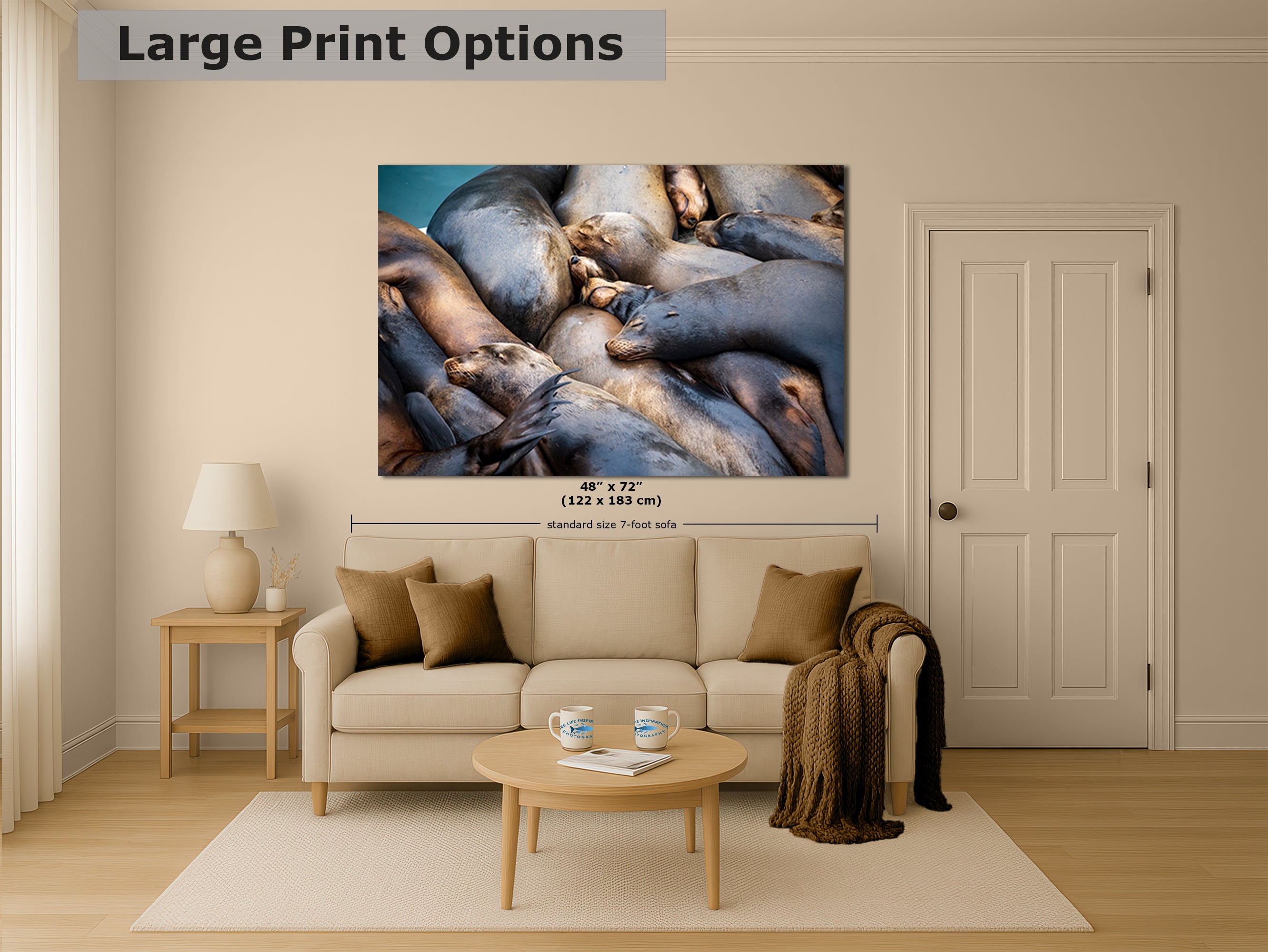 California Sea Lion Marine Mammal Wildlife Photography Wall Art - Ocean Animals Nursery Decor Coastal Home Artwork, Marine Biology Print