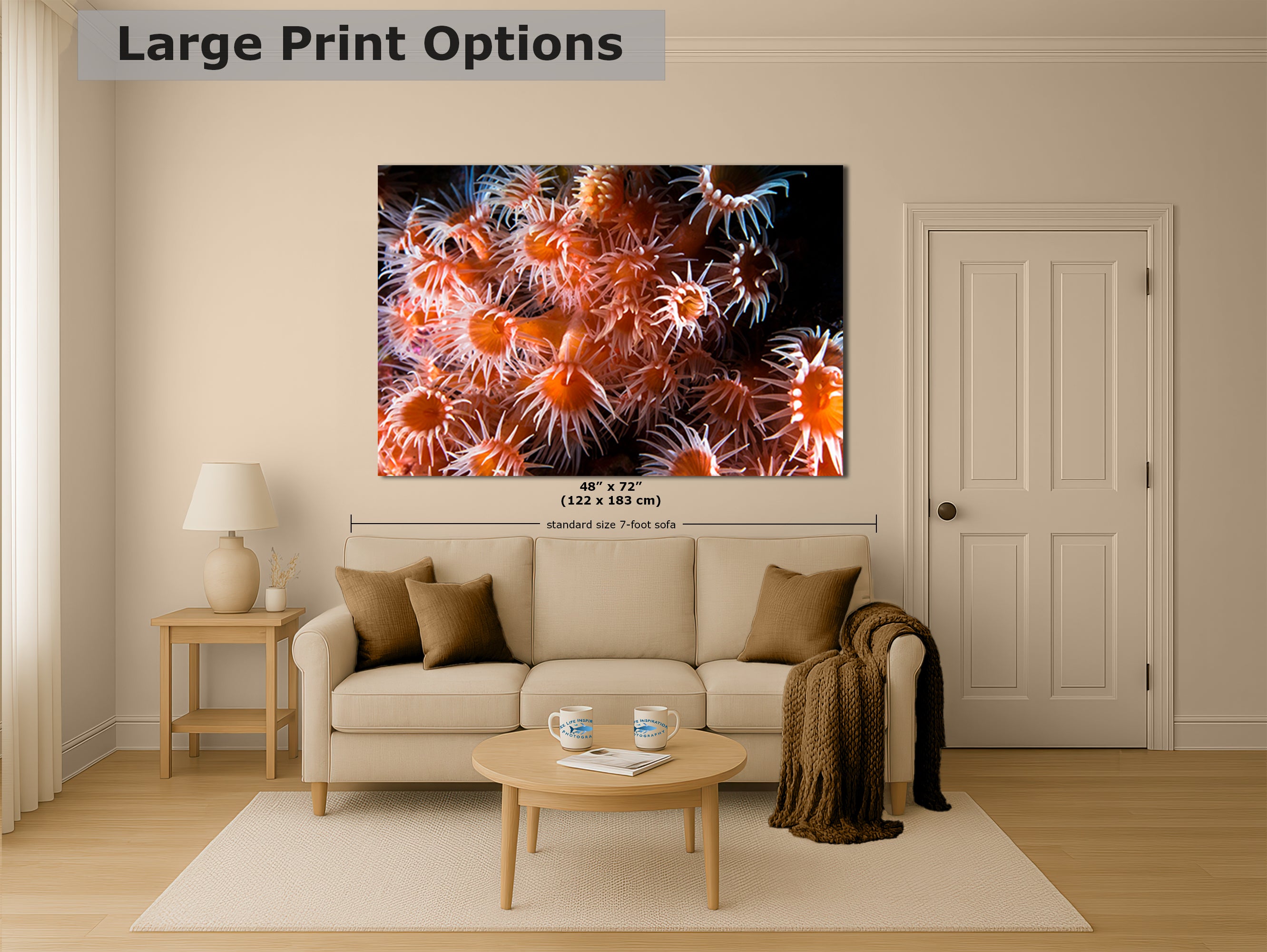 Sea Anemone Picture Ocean Life Underwater Scenery Nature Photo, Marine Biology Wall Art, Vibrant Orange Zoanthid Coral Reef, Ocean Decor