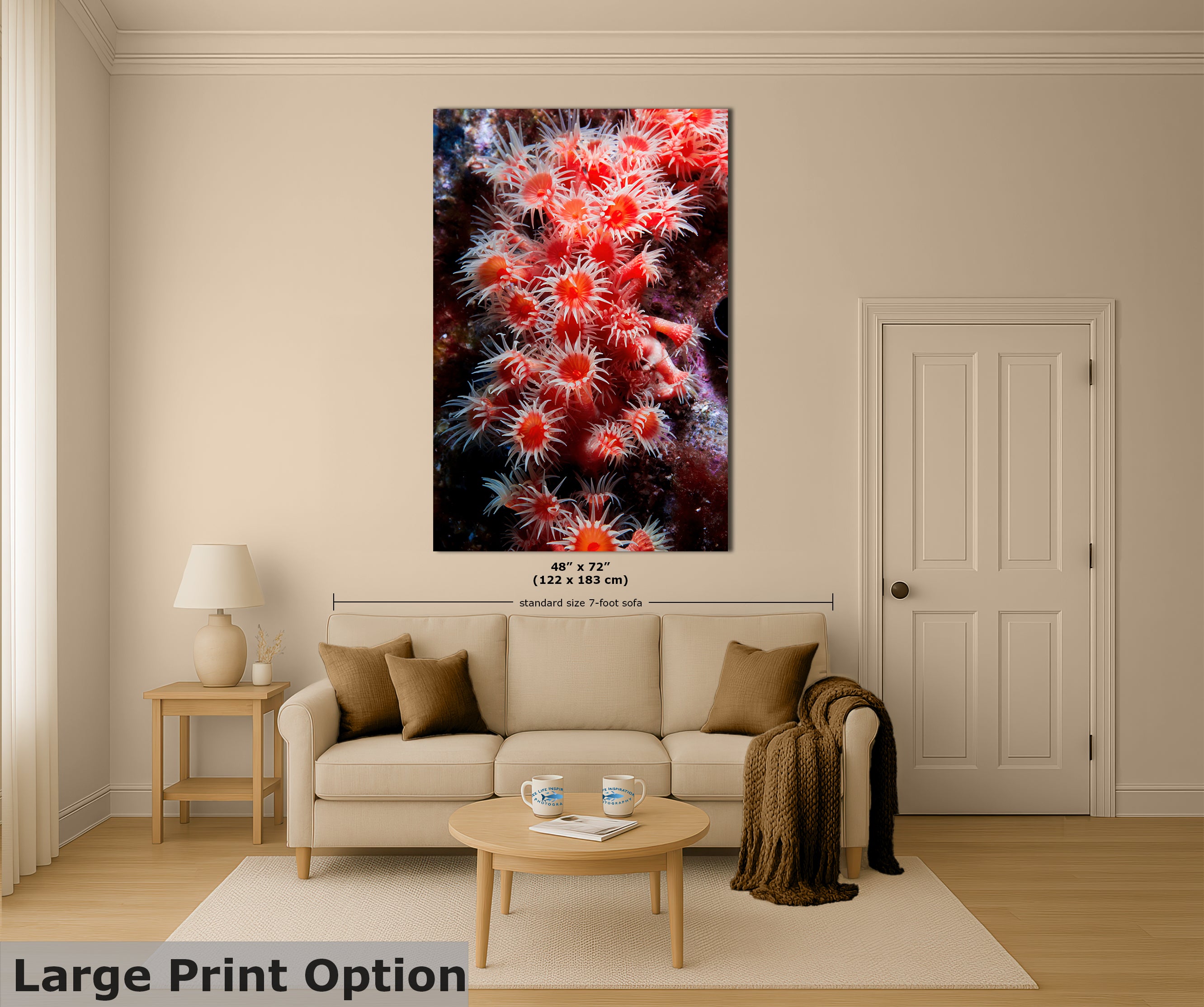 Sea Anemone Picture Ocean Life Underwater Scenery Nature Photo, Marine Biology Wall Art, Coral Reef Decor, Office & Dorm Room Decoration